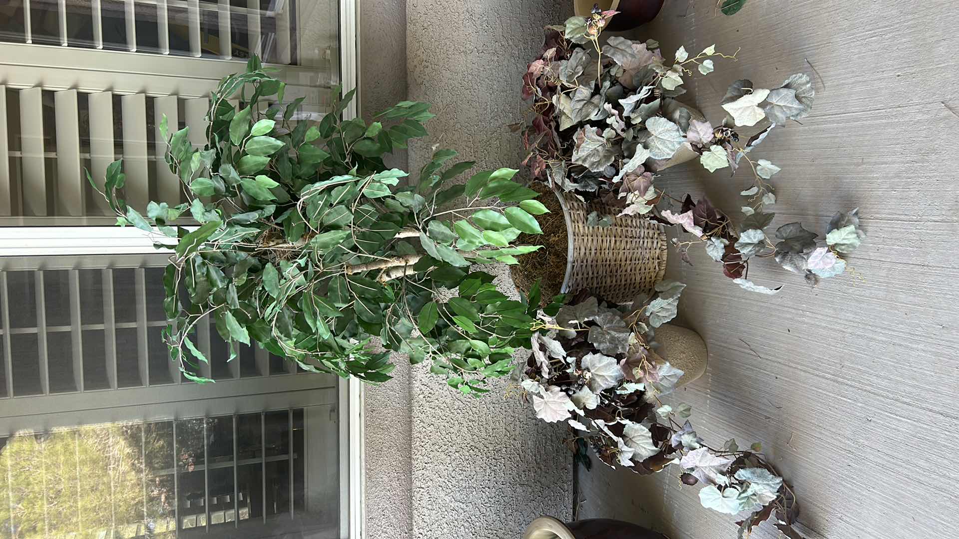 Photo 1 of 3 FAUX PLANTS TALLEST 53"