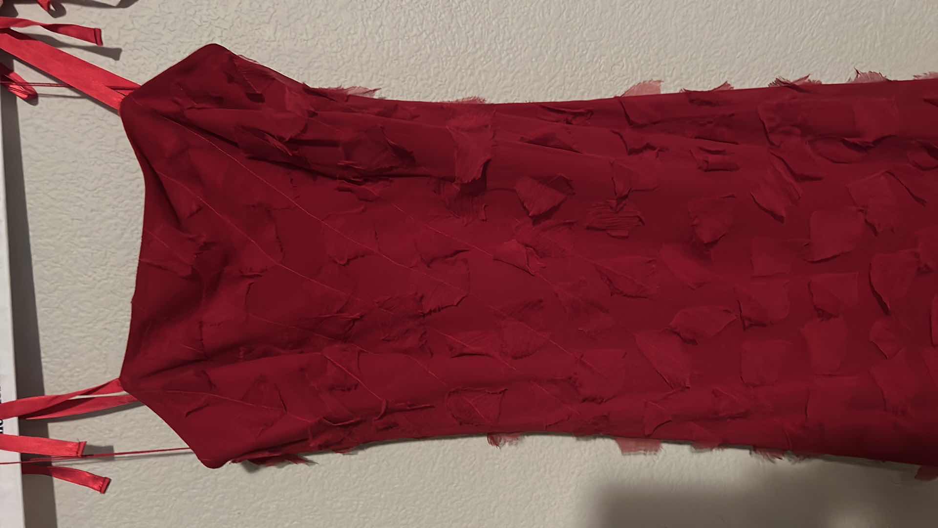 Photo 1 of ANNE KLEIN RED FORMAL LONG DRESS SIZE 4