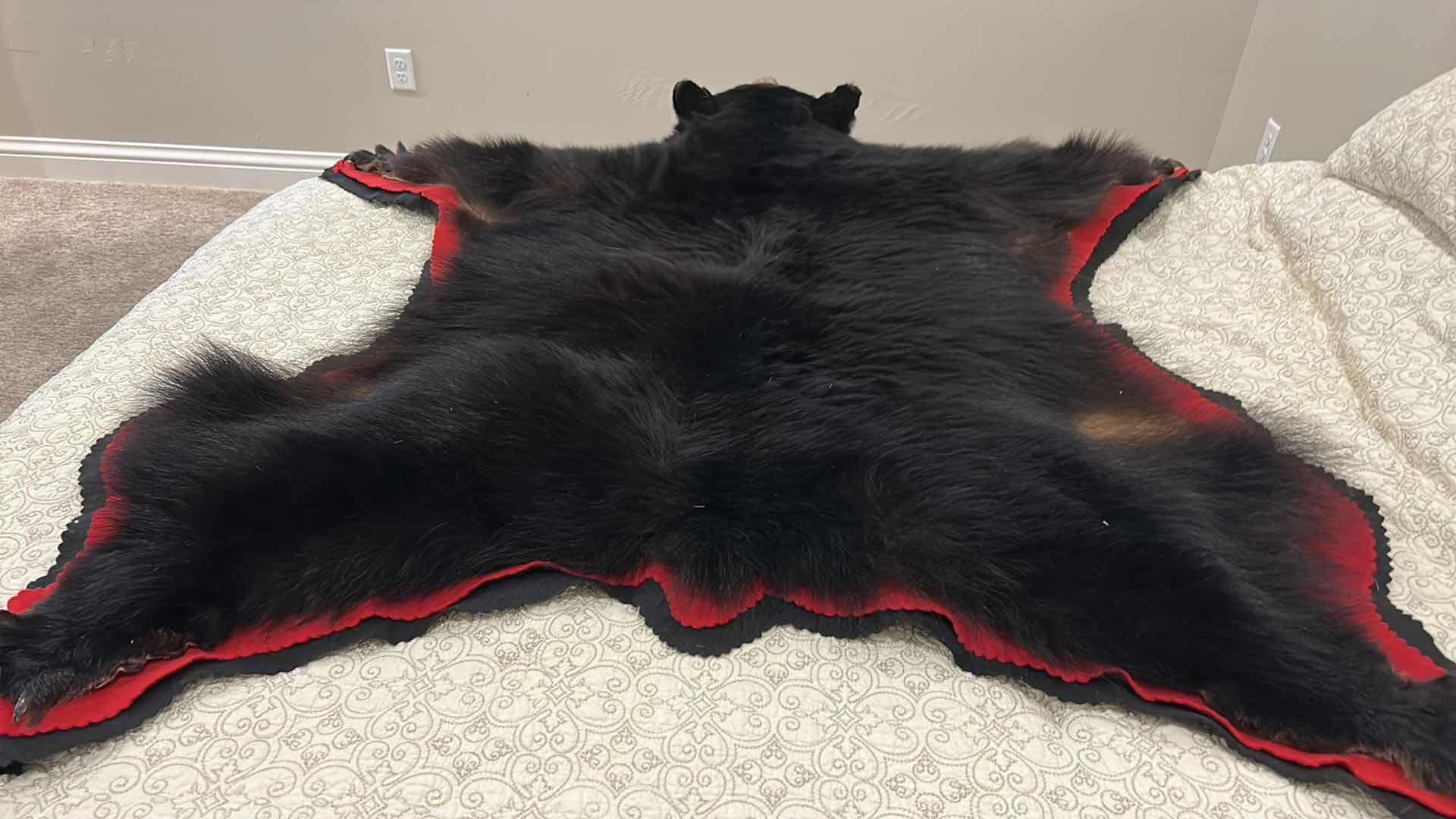 Photo 1 of LARGE BLACK BEAR RUG FROM VANCOUVER ISLAND, BRITISH COLUMBIA 5’ x 5’