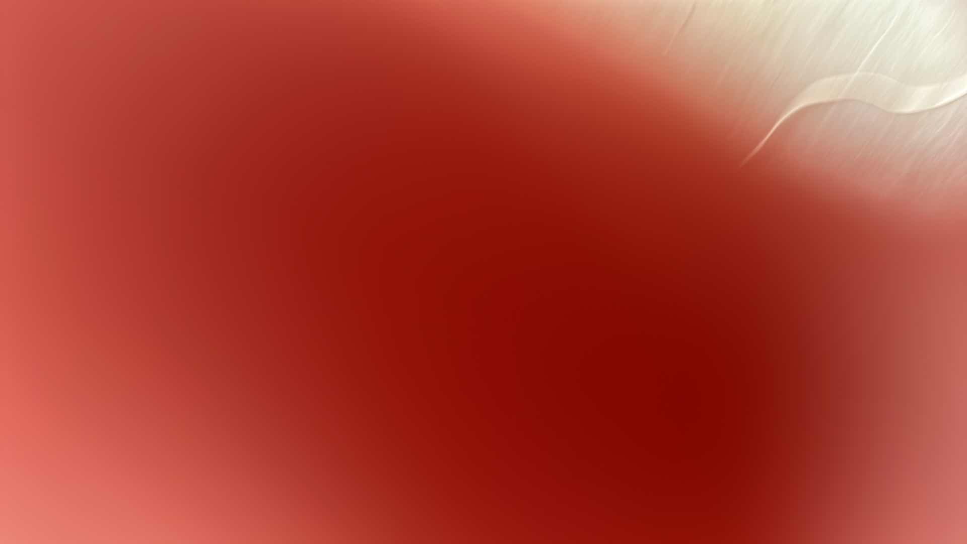 Photo 1 of NEW PET STANDARD RAMP STAIRCASE GRAY