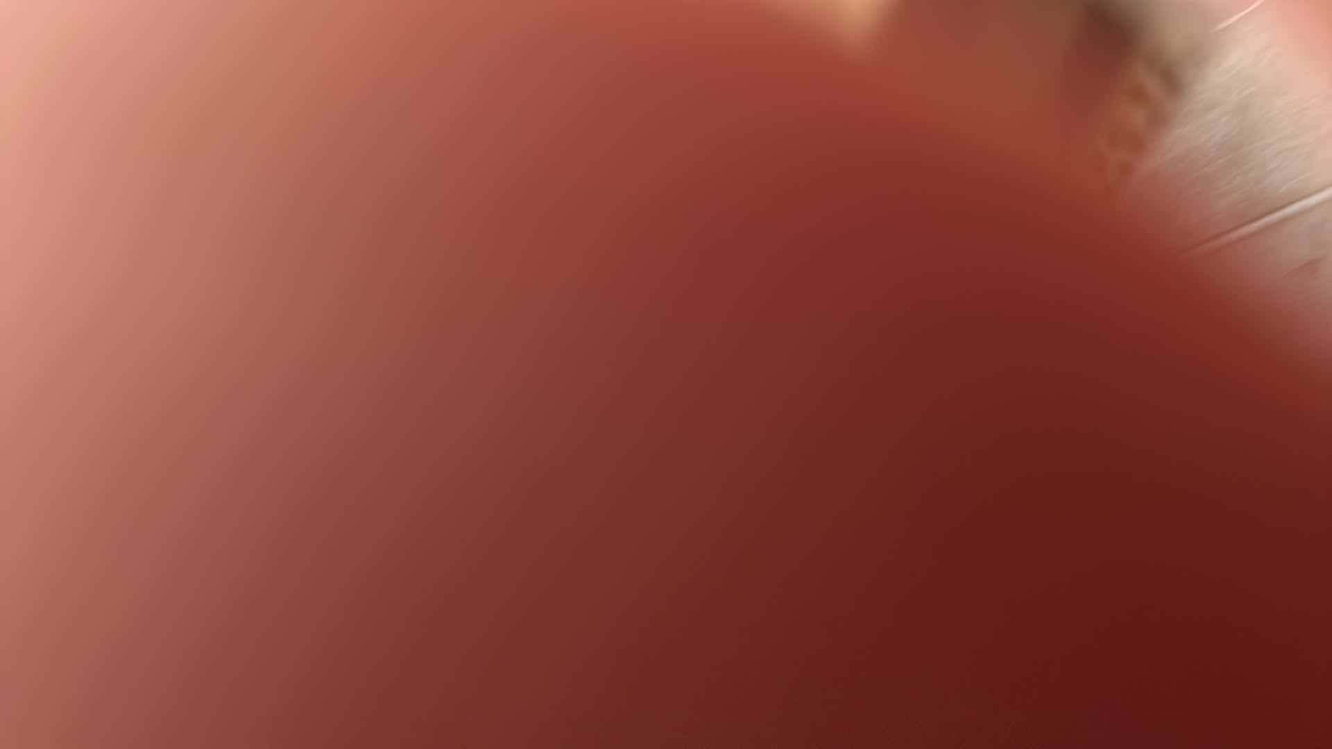 Photo 1 of NEW PET STANDARD RAMP STAIRCASE GRAY