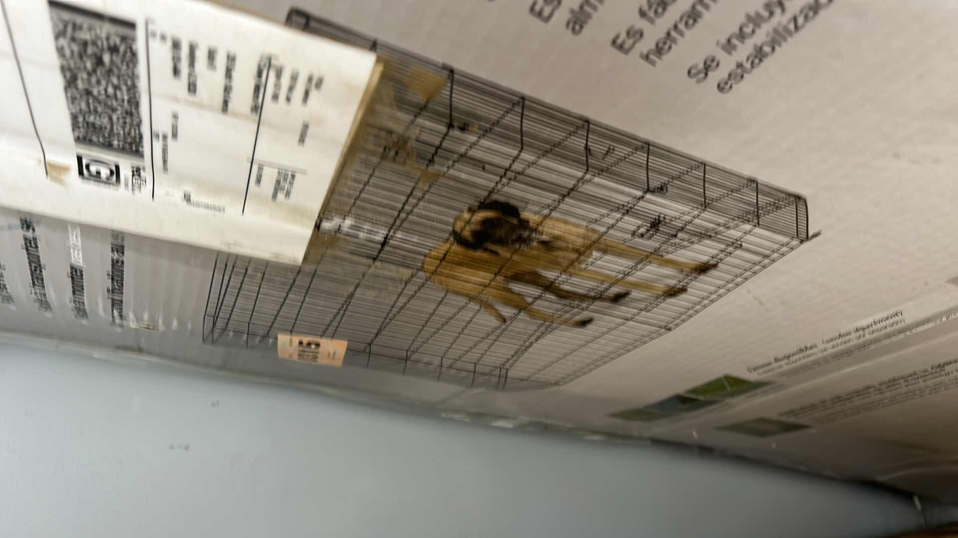 Photo 4 of NEW DOG PLAY PEN