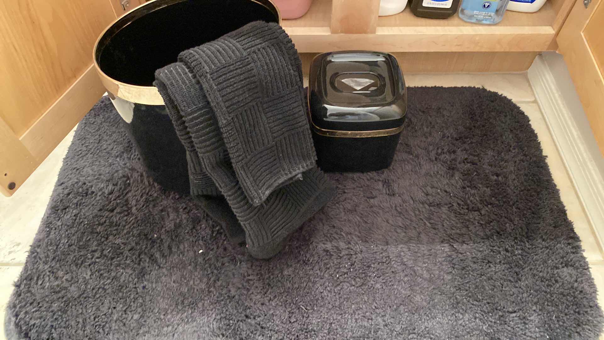 Photo 4 of CONTENTS UNDER HALL BATH SINK, RUG HAND TOWELS TRASH CAN