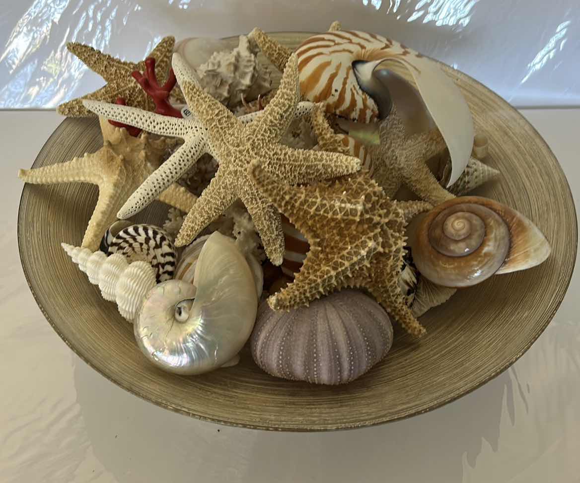 Photo 1 of GLASS BOWL 16” WITH SHELLS STARFISH SAN DOLLARS AND MORE
