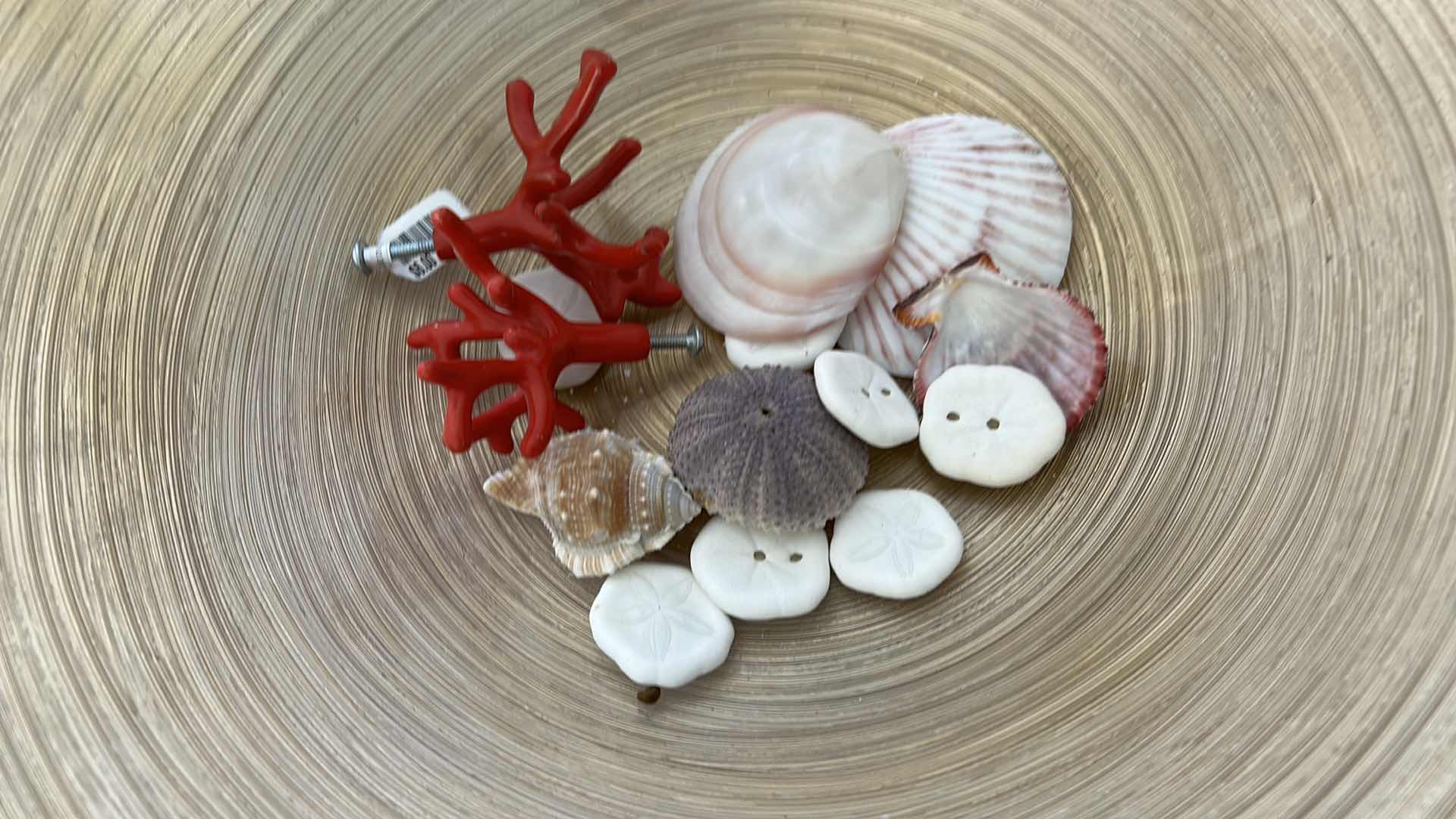 Photo 13 of GLASS BOWL 16” WITH SHELLS STARFISH SAN DOLLARS AND MORE