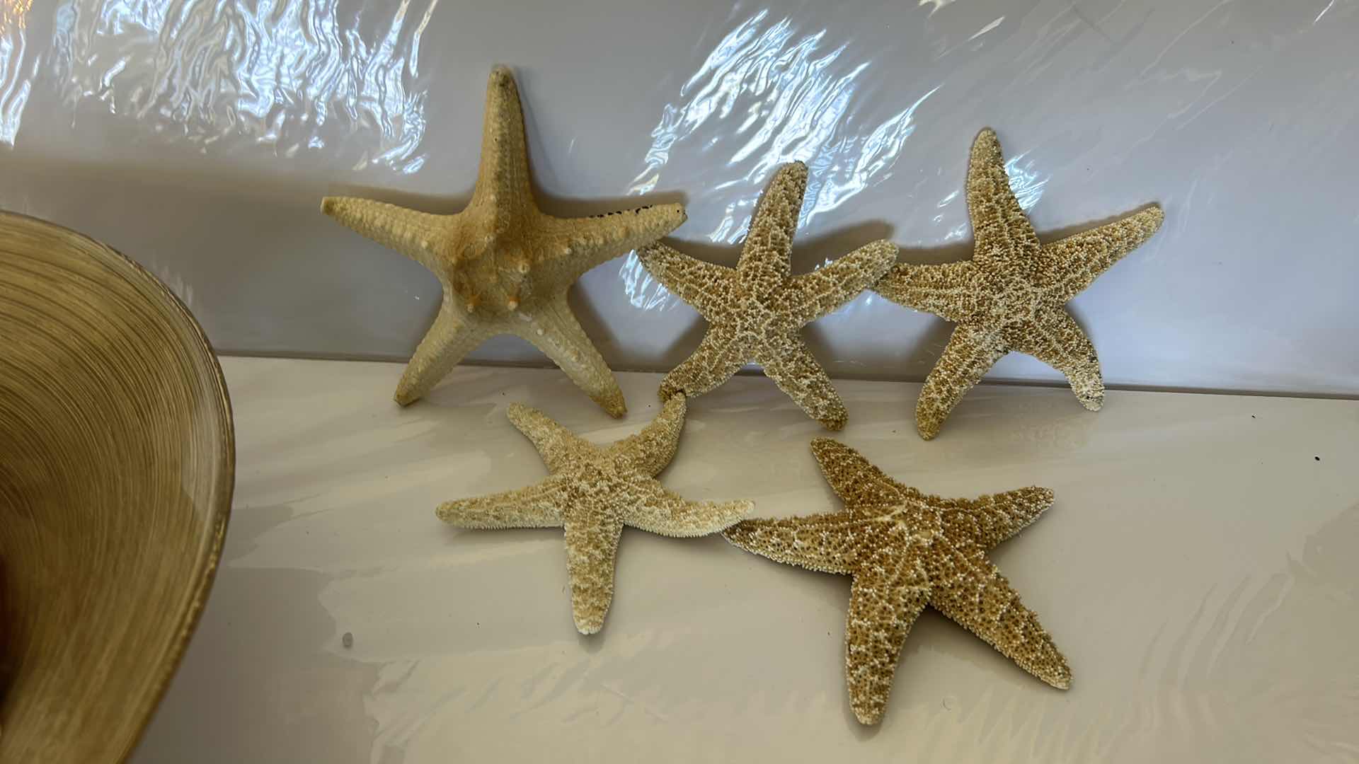 Photo 7 of GLASS BOWL 16” WITH SHELLS STARFISH SAN DOLLARS AND MORE