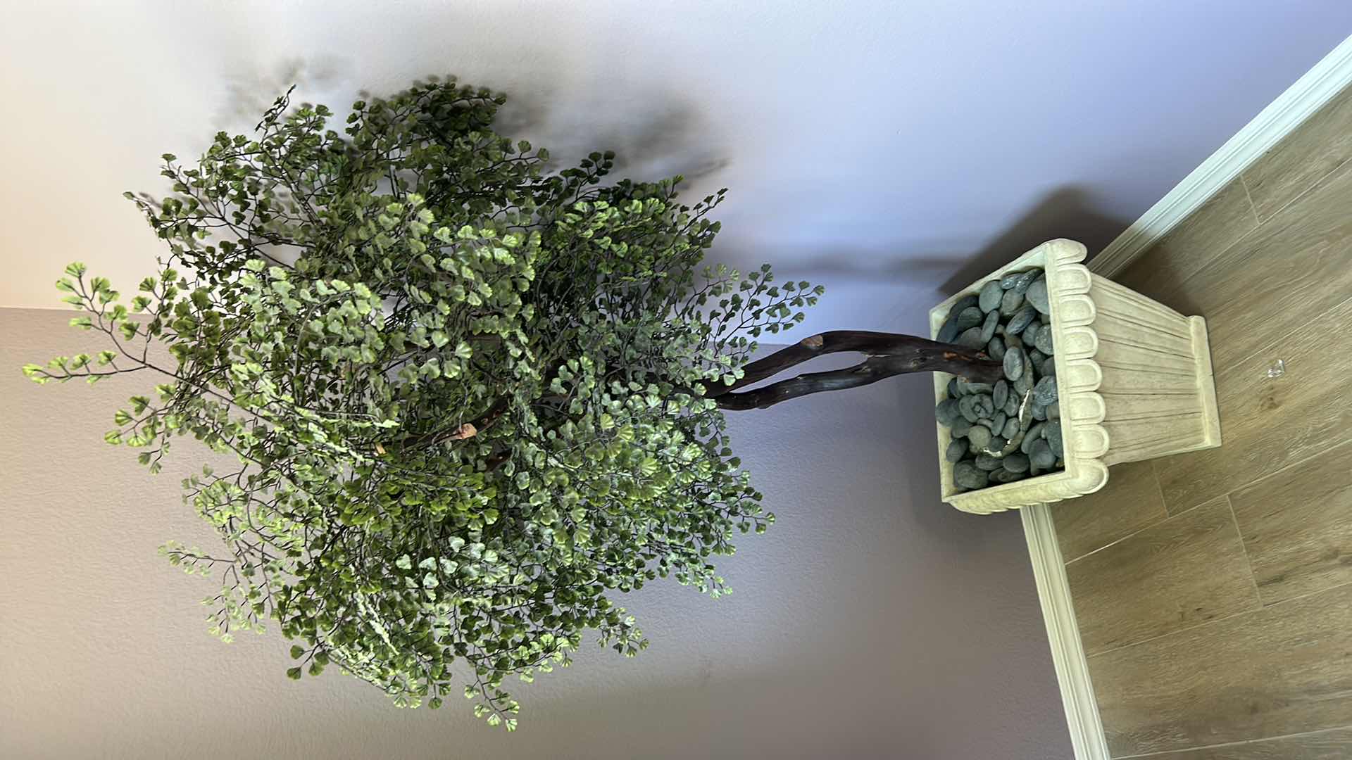 Photo 1 of FAUX TREE POT 18” H5’