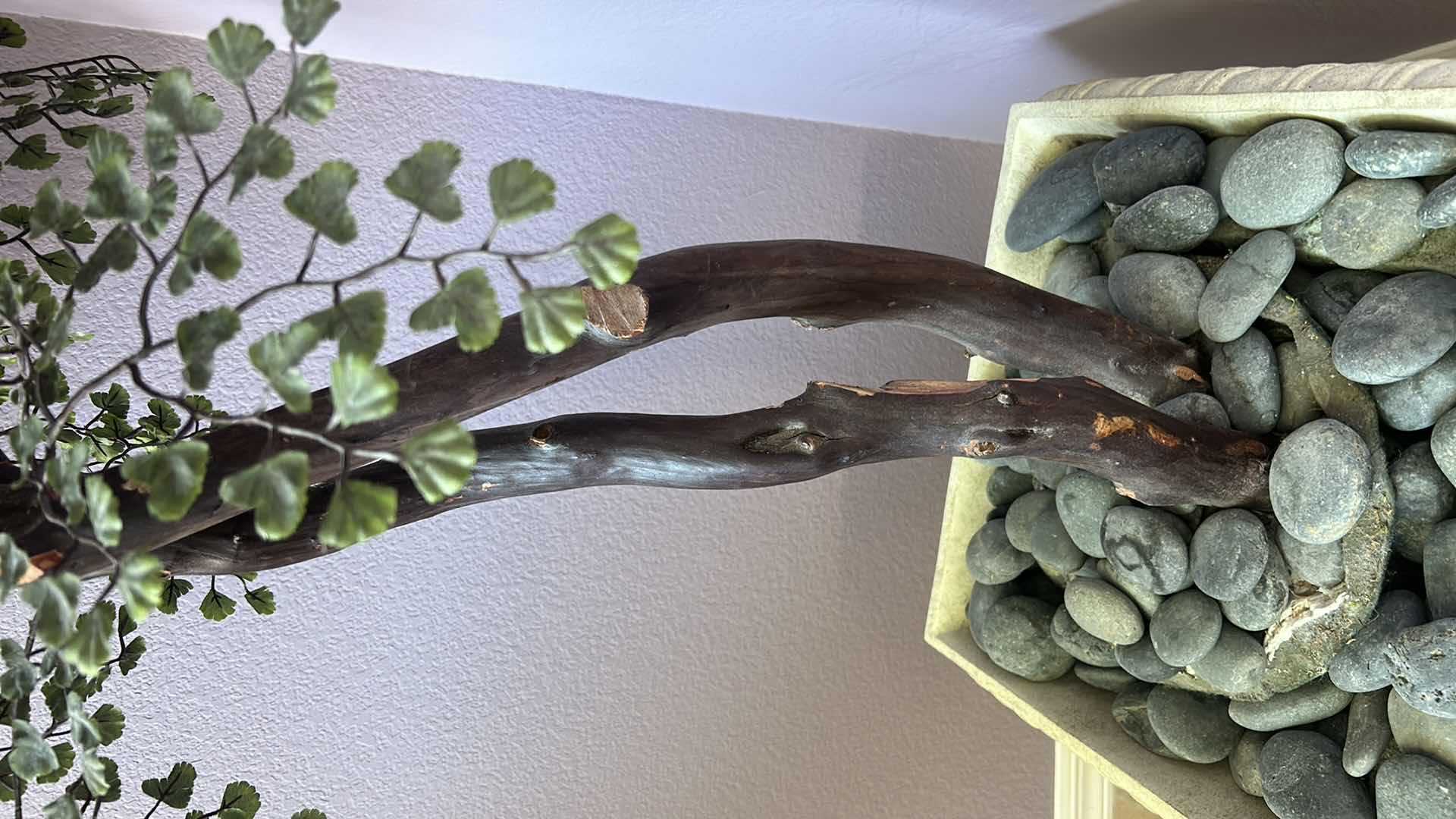 Photo 1 of FAUX TREE POT 18” H5’