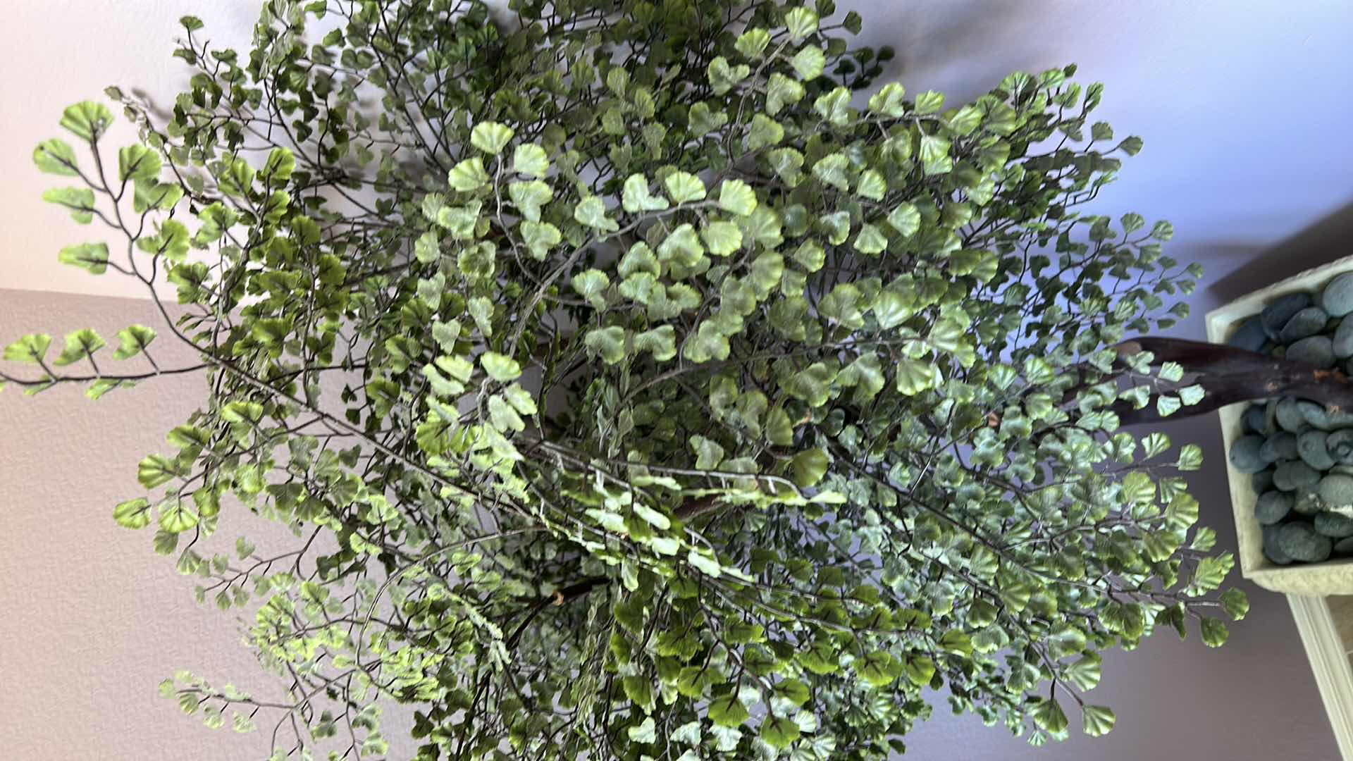 Photo 1 of FAUX TREE POT 18” H5’