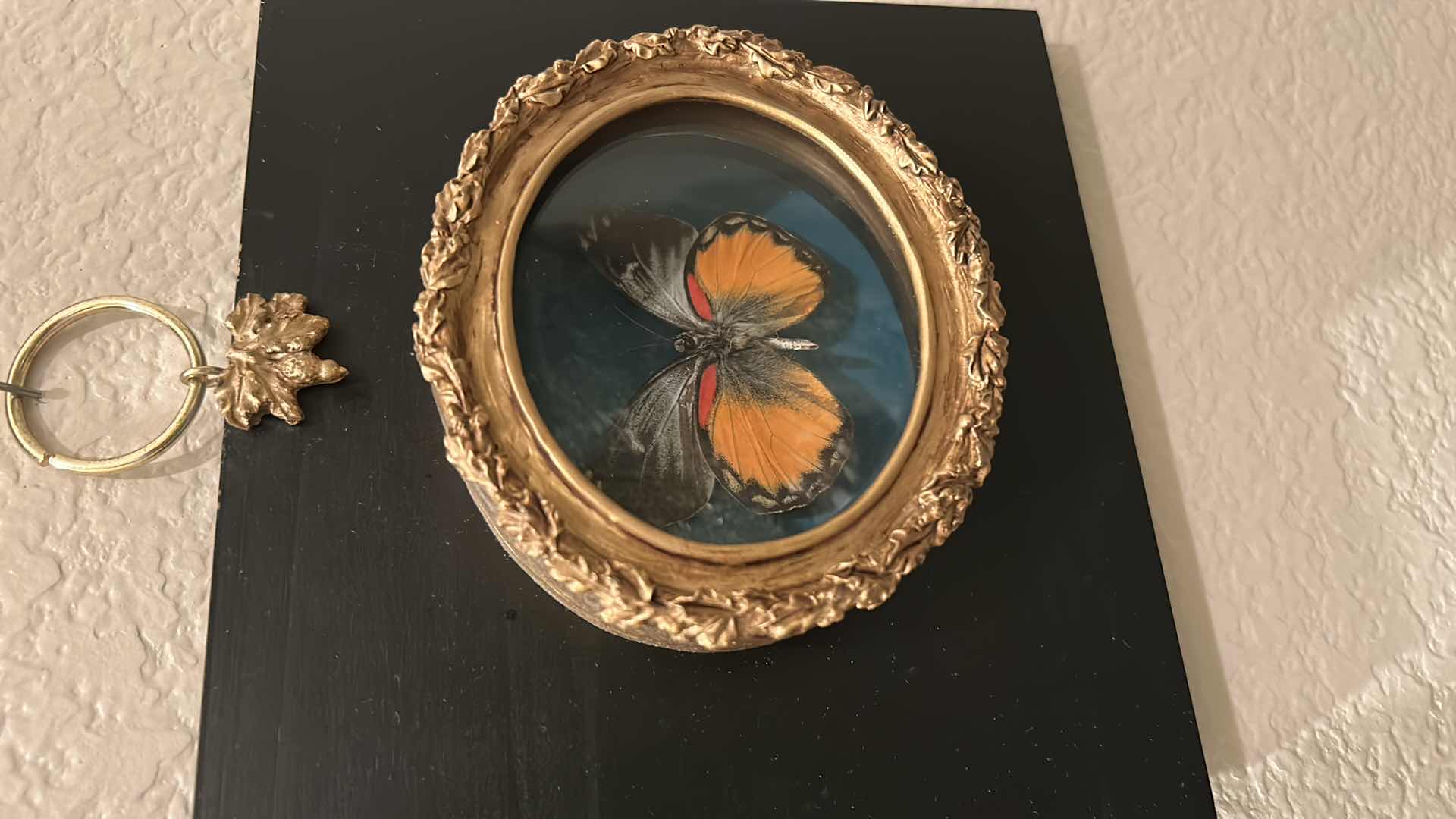 Photo 1 of BUTTERFLY SHADOW BOX WALL DECOR 7” x 8”