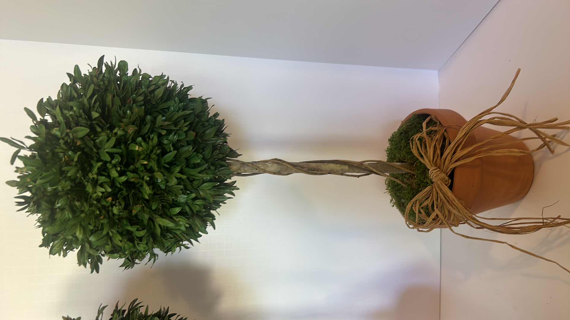 Photo 1 of 2 FAUX TOPIARIES H25”