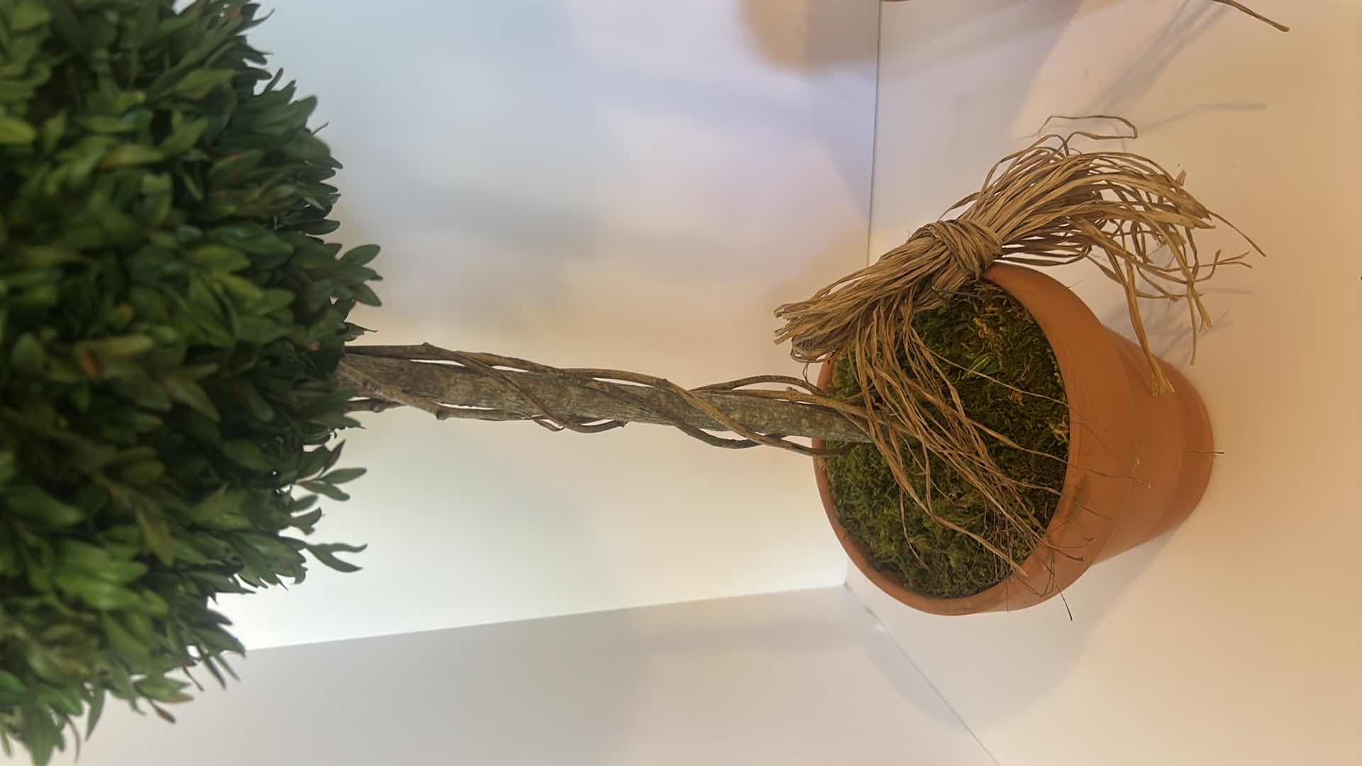 Photo 1 of 2 FAUX TOPIARIES H25”