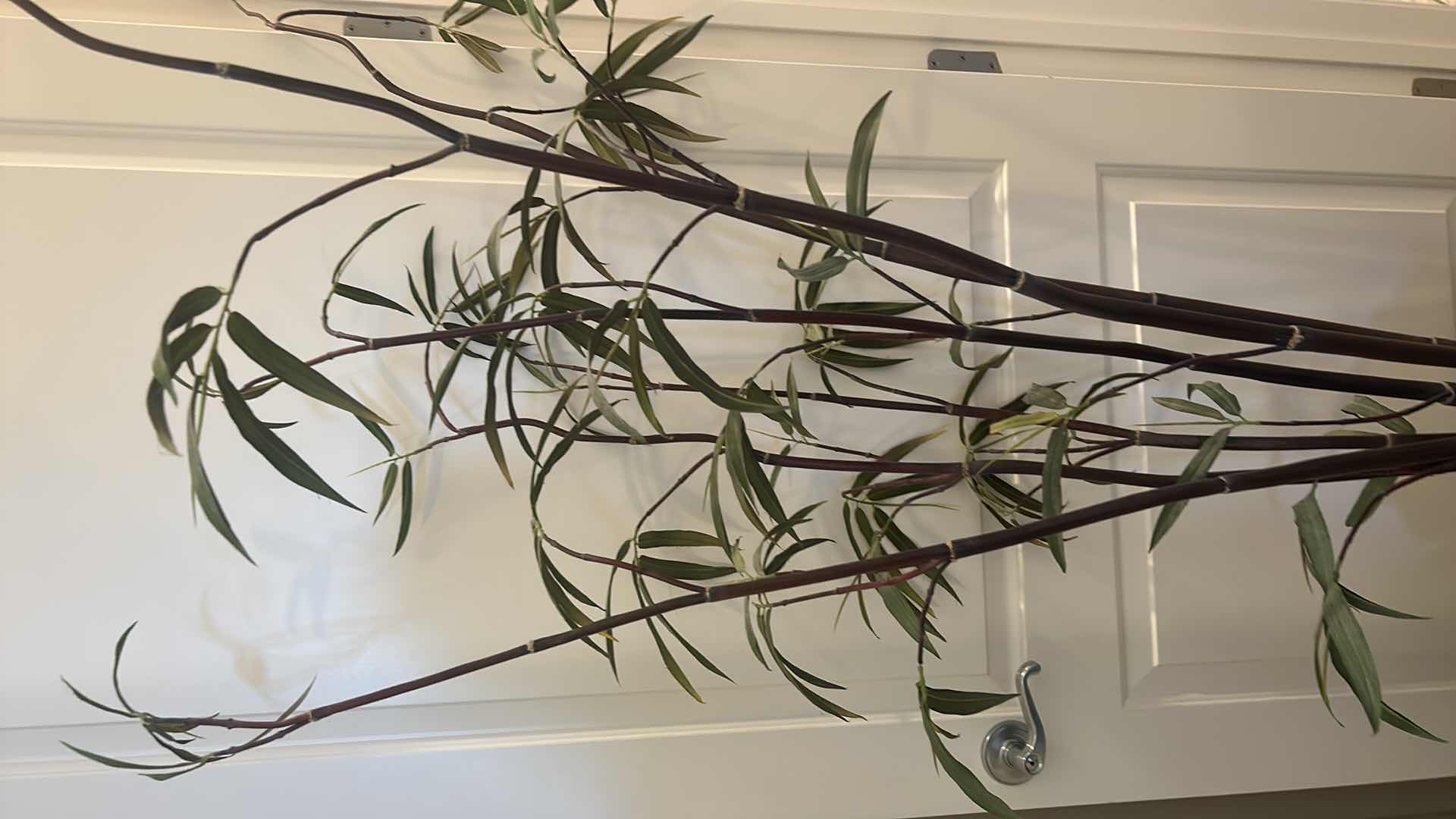 Photo 2 of HOME DECOR - FAUX BAMBOO TREE H5’