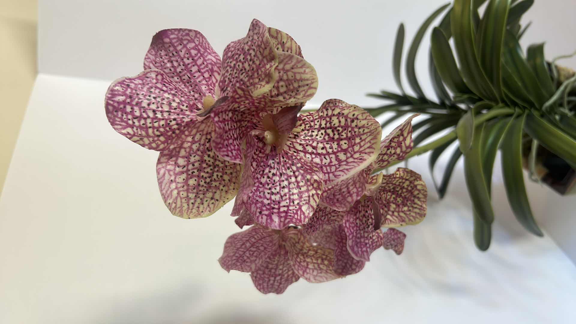 Photo 1 of FAUX ORCHID FLOWER ARRANGEMENT H32”