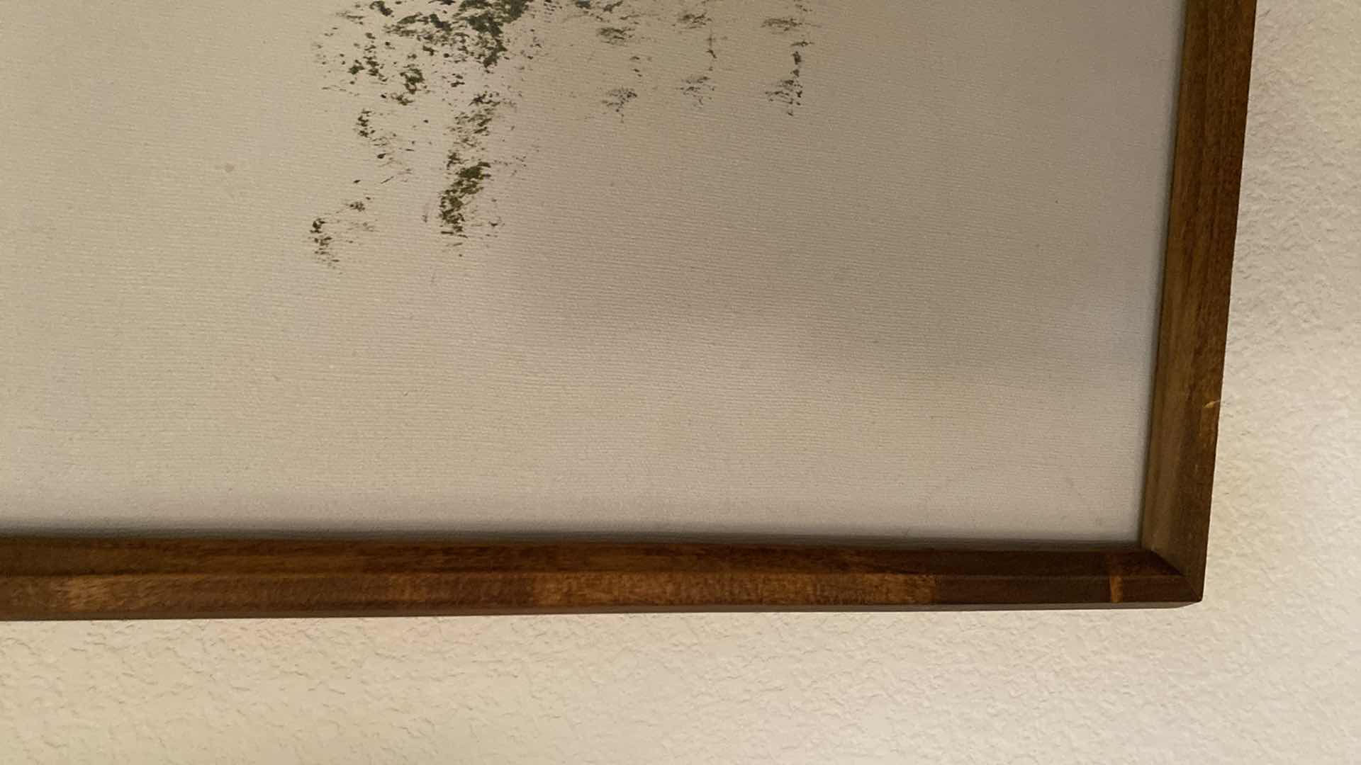 Photo 1 of FRAMED SIGNED LANDSCAPE MIXED MEDIA ON CANVAS ARTWORK 41” x 31”