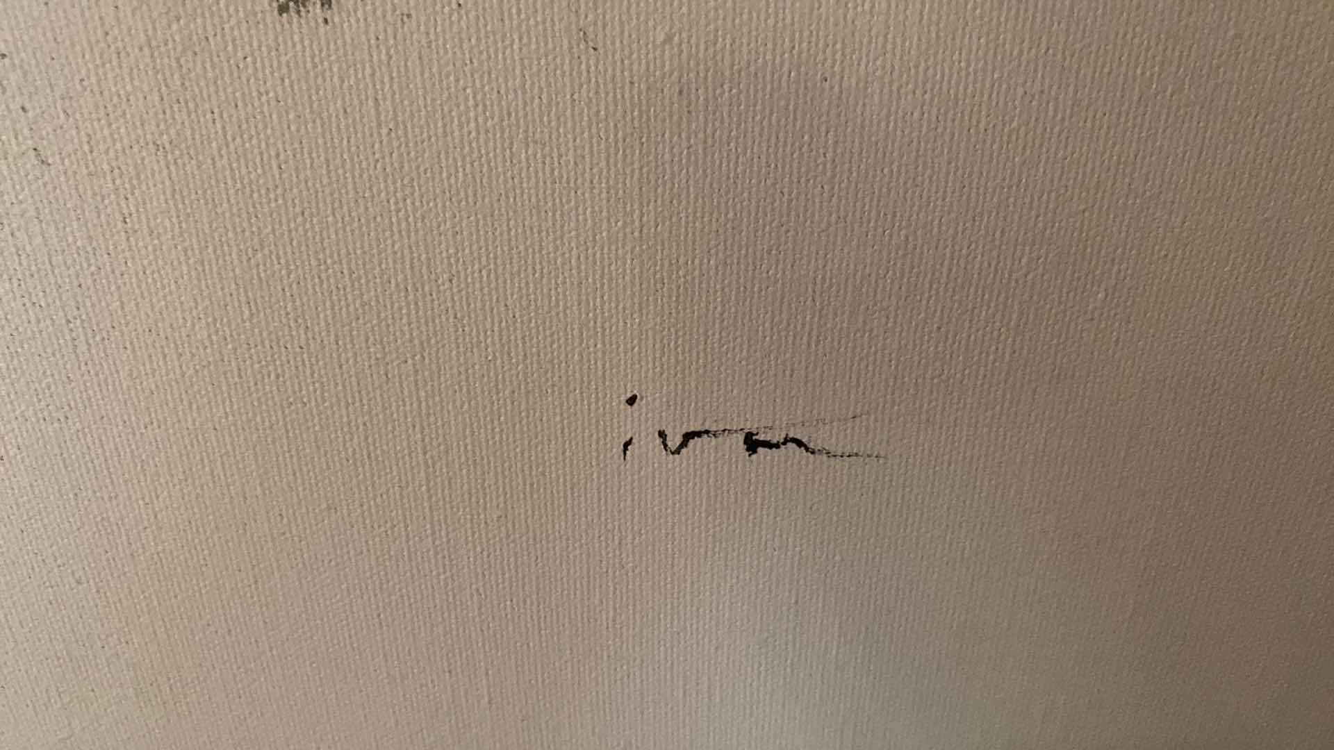 Photo 1 of FRAMED SIGNED LANDSCAPE MIXED MEDIA ON CANVAS ARTWORK 41” x 31”