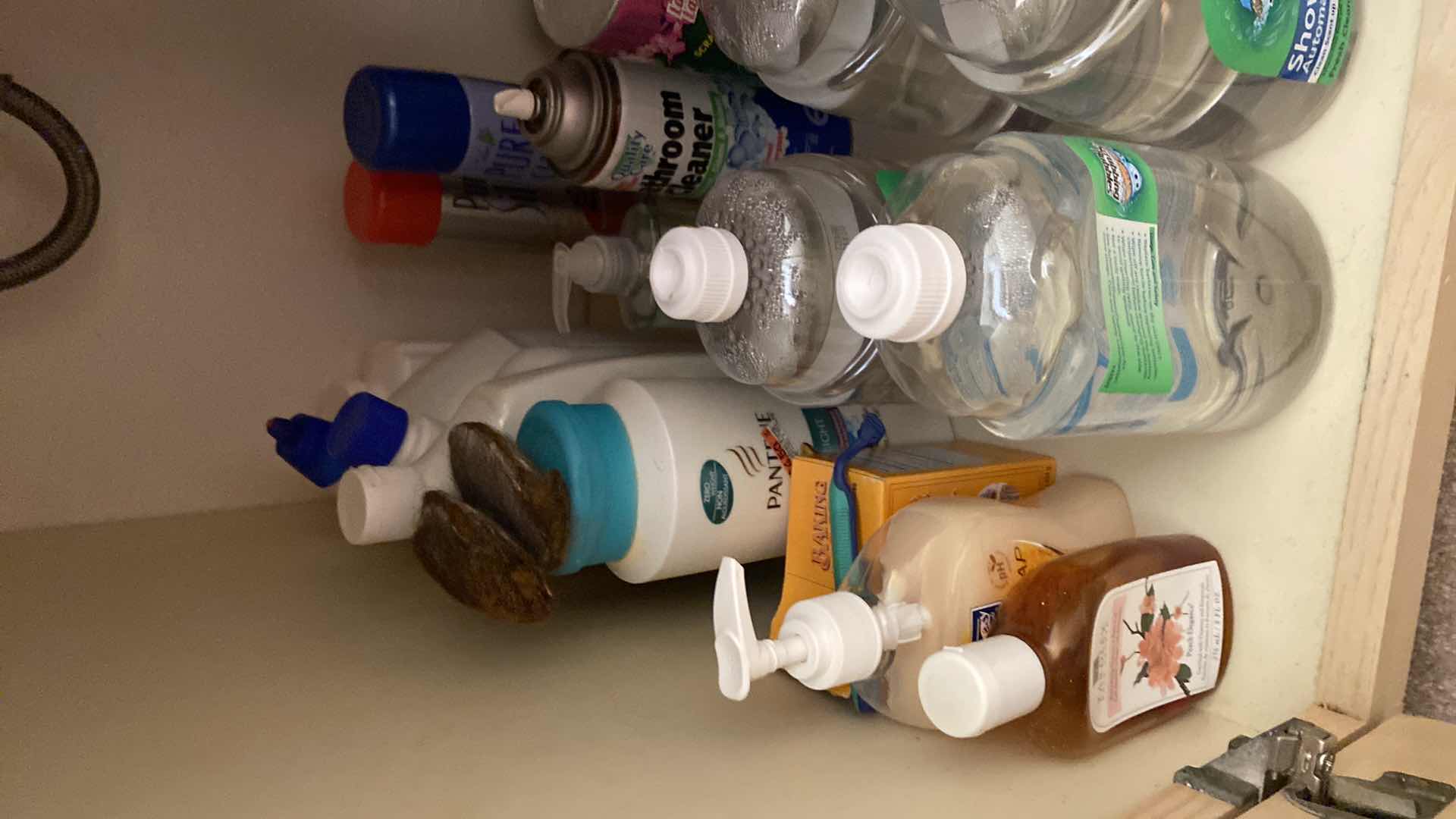 Photo 1 of CONTENTS PRIMARY BATH UNDER SINK