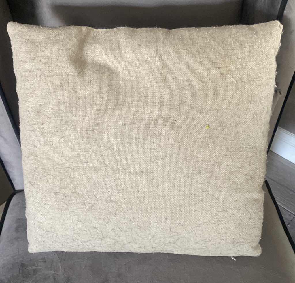 Photo 1 of THROW PILLOW 16” x 16”