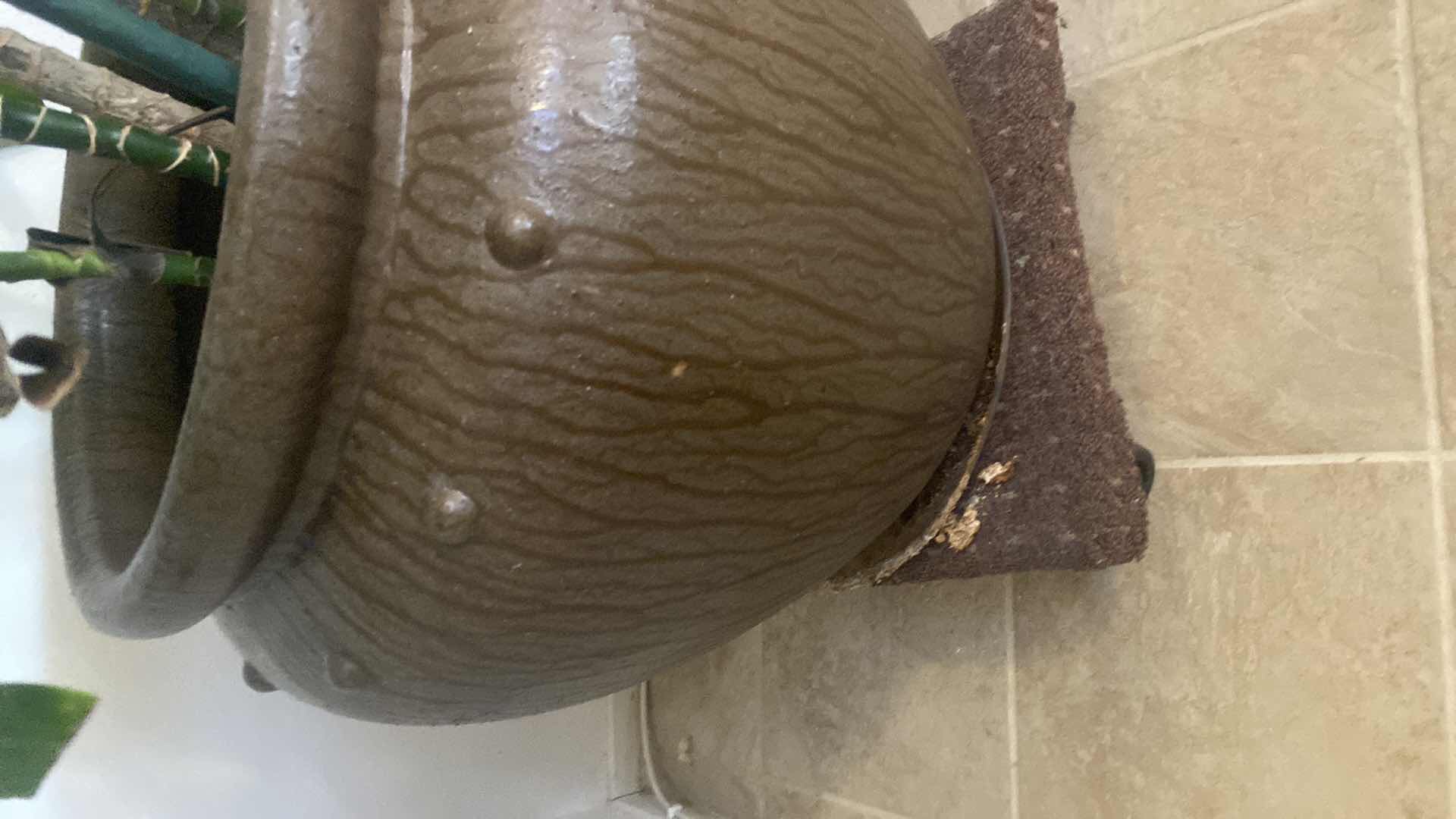 Photo 1 of LIVE PLANT IN CERAMIC POT INCLUDED POT HOLDER WITH WHEELS H68”