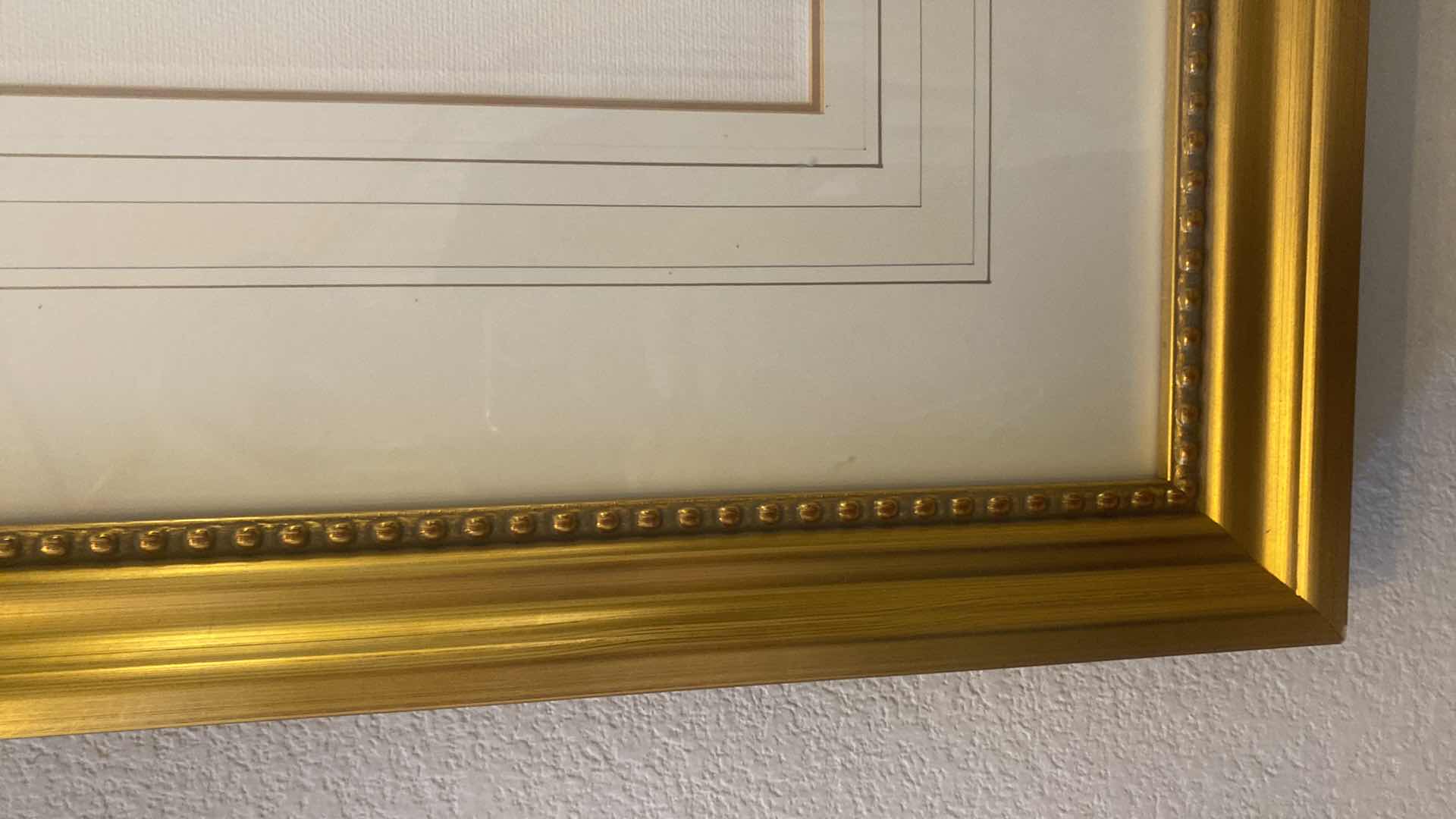 Photo 1 of GOLD RESIN FRAMED LESBIA AMARYLLIS ARTWORK 32” x 40”