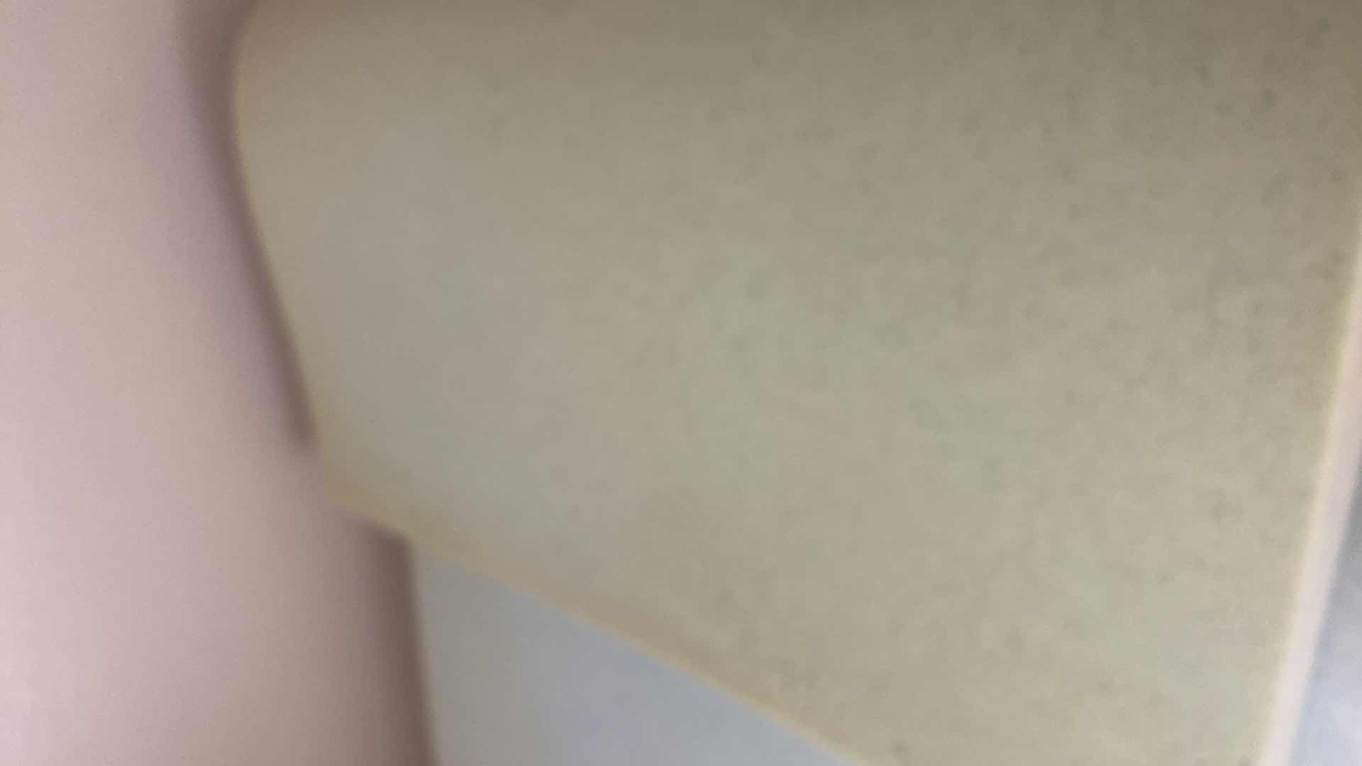 Photo 1 of FOAM BED PAD 38” x 76”