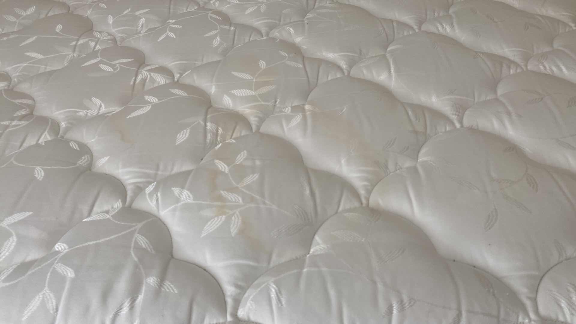 Photo 1 of CAFE KID WOOD TRUNDLE BED-FRAME INCLUDES MATTRESSES 43 1/2” x 87” H53”