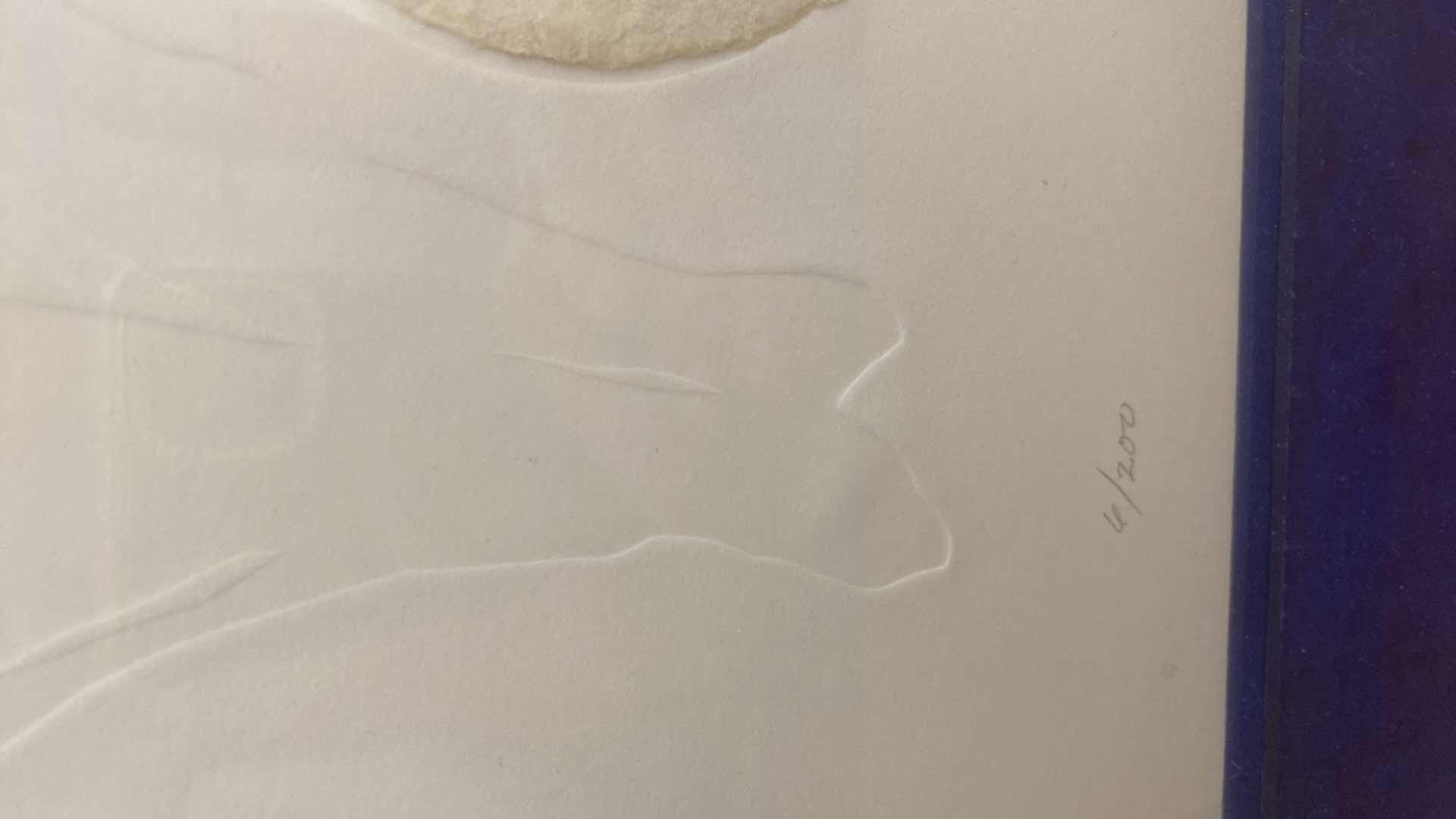 Photo 3 of FRAMED PAPER FLORAL “IRIS I” NUMBERED & SIGNED ARTWORK 20 1/2” x 26”