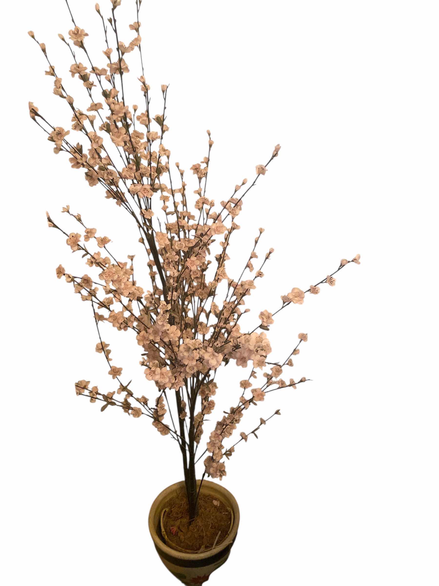 Photo 1 of FAUX TREE IN CERAMIC POT H6’