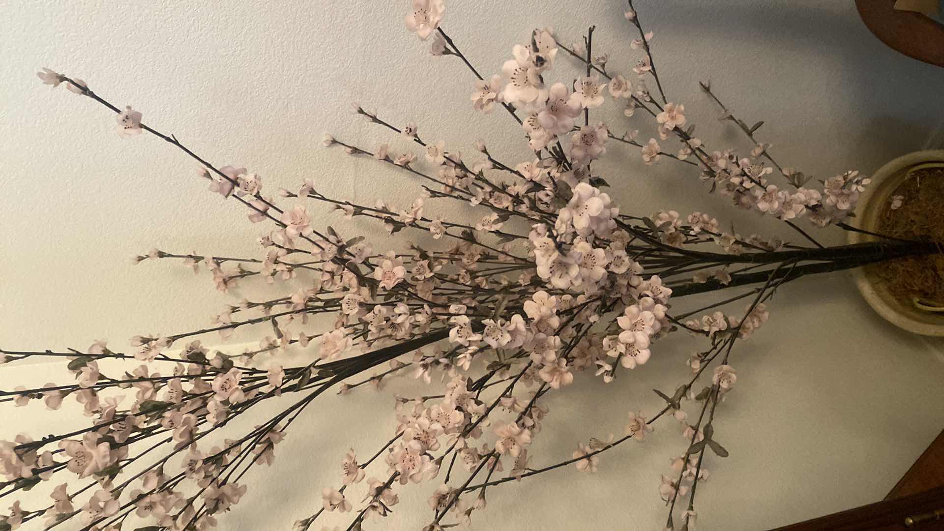 Photo 1 of FAUX TREE IN CERAMIC POT H6’