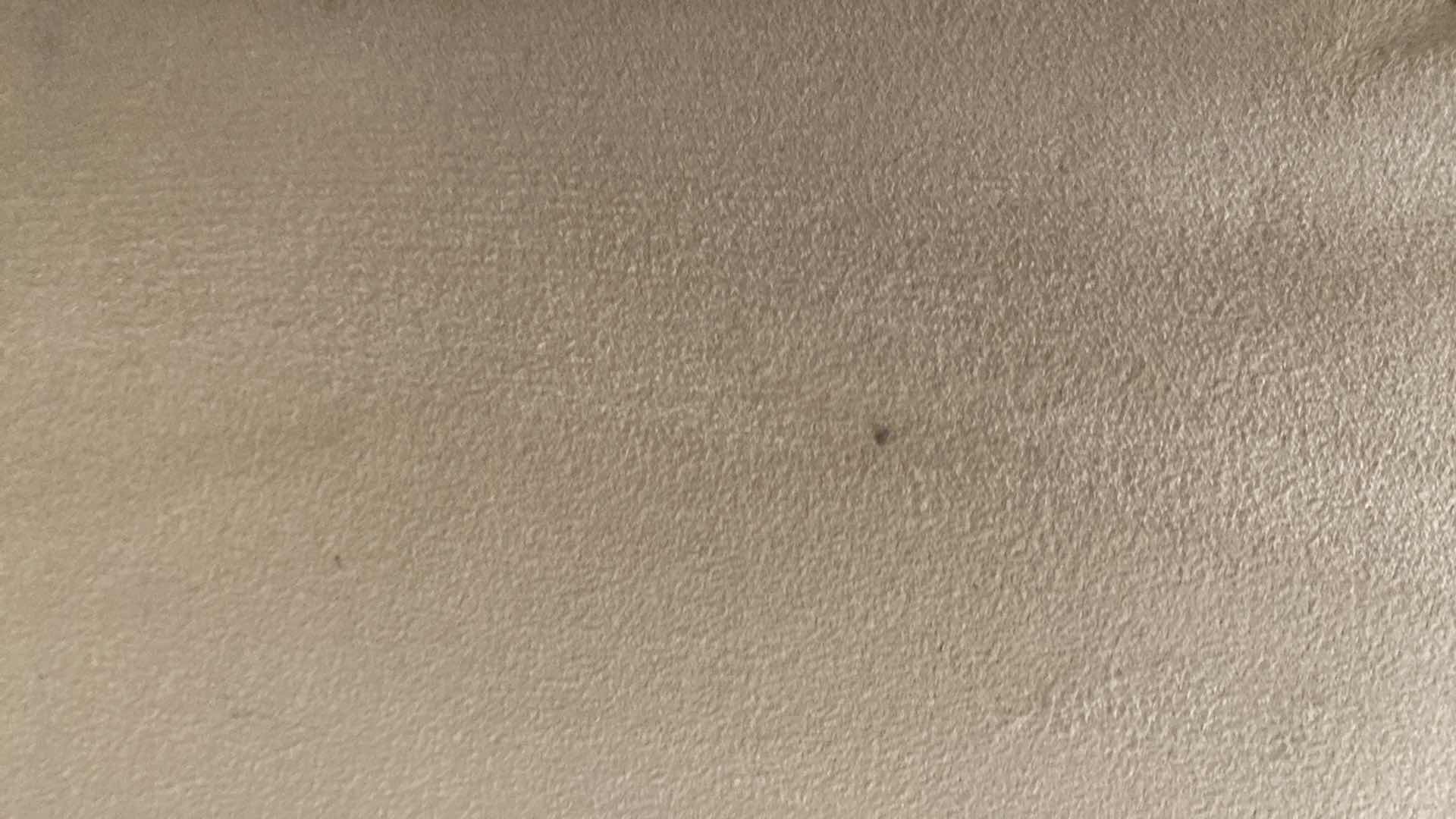 Photo 1 of FLEXSTEEL OCCASIONAL CHAIR