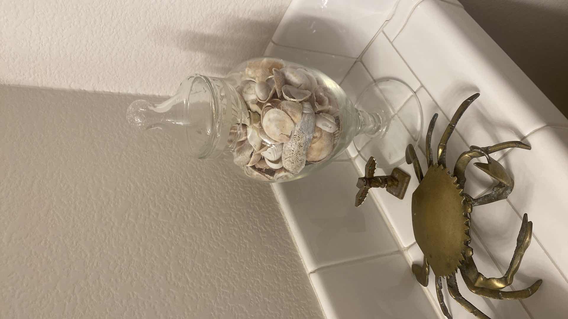 Photo 1 of 7 - SEA SHELL DECOR TALLEST 10”