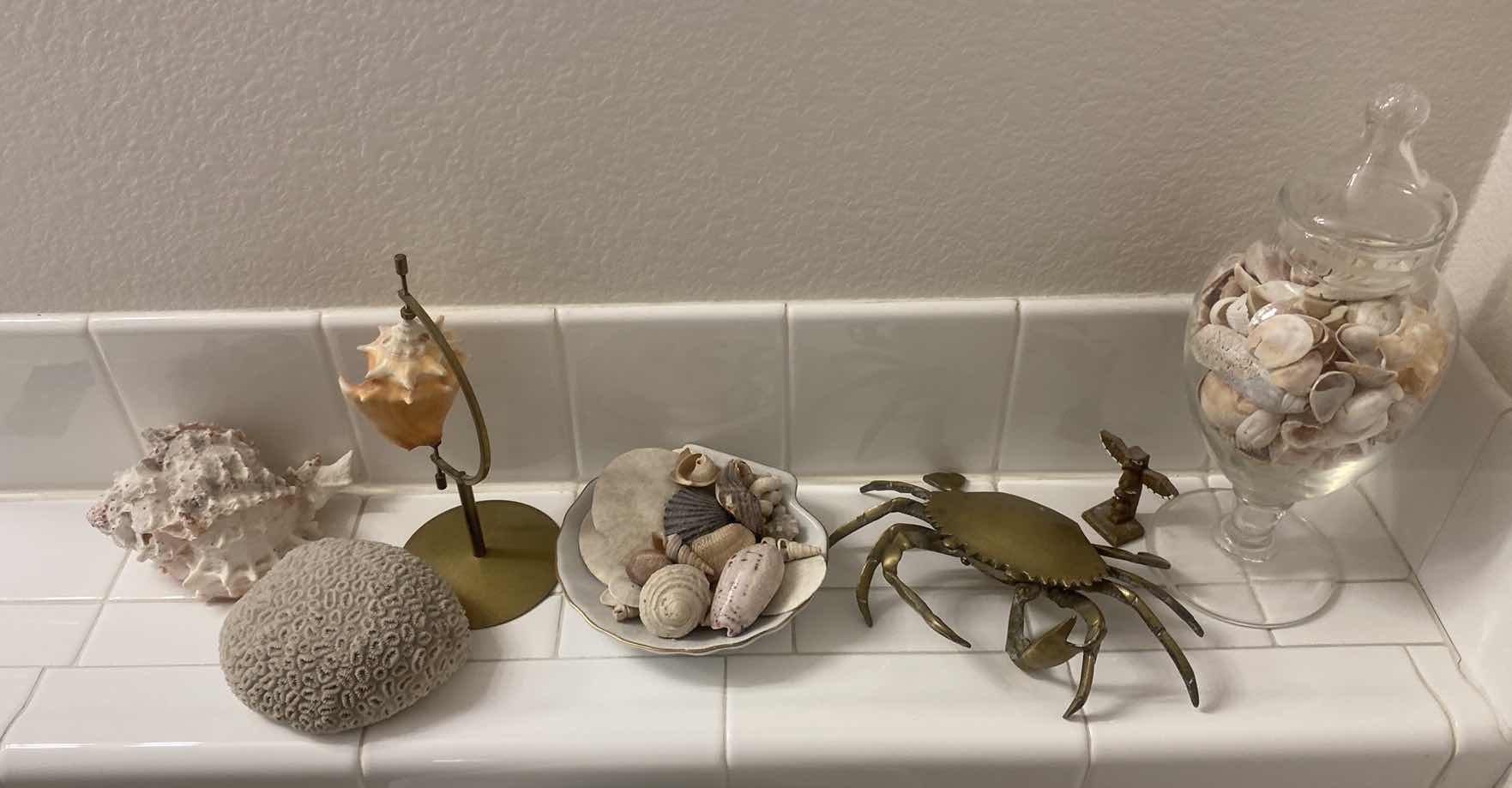 Photo 1 of 7 - SEA SHELL DECOR TALLEST 10”