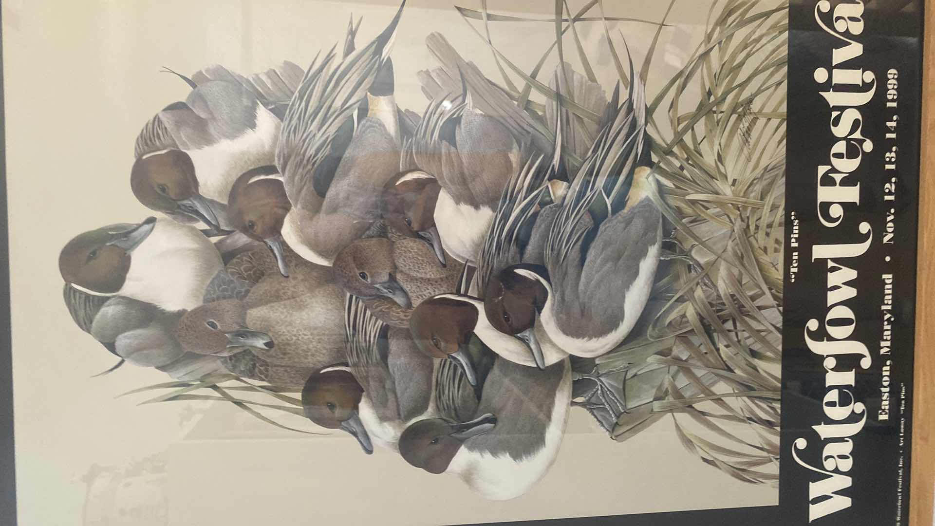 Photo 1 of FRAMED 1999 WATERFOWL FESTIVAL POSTER 21” x 31”