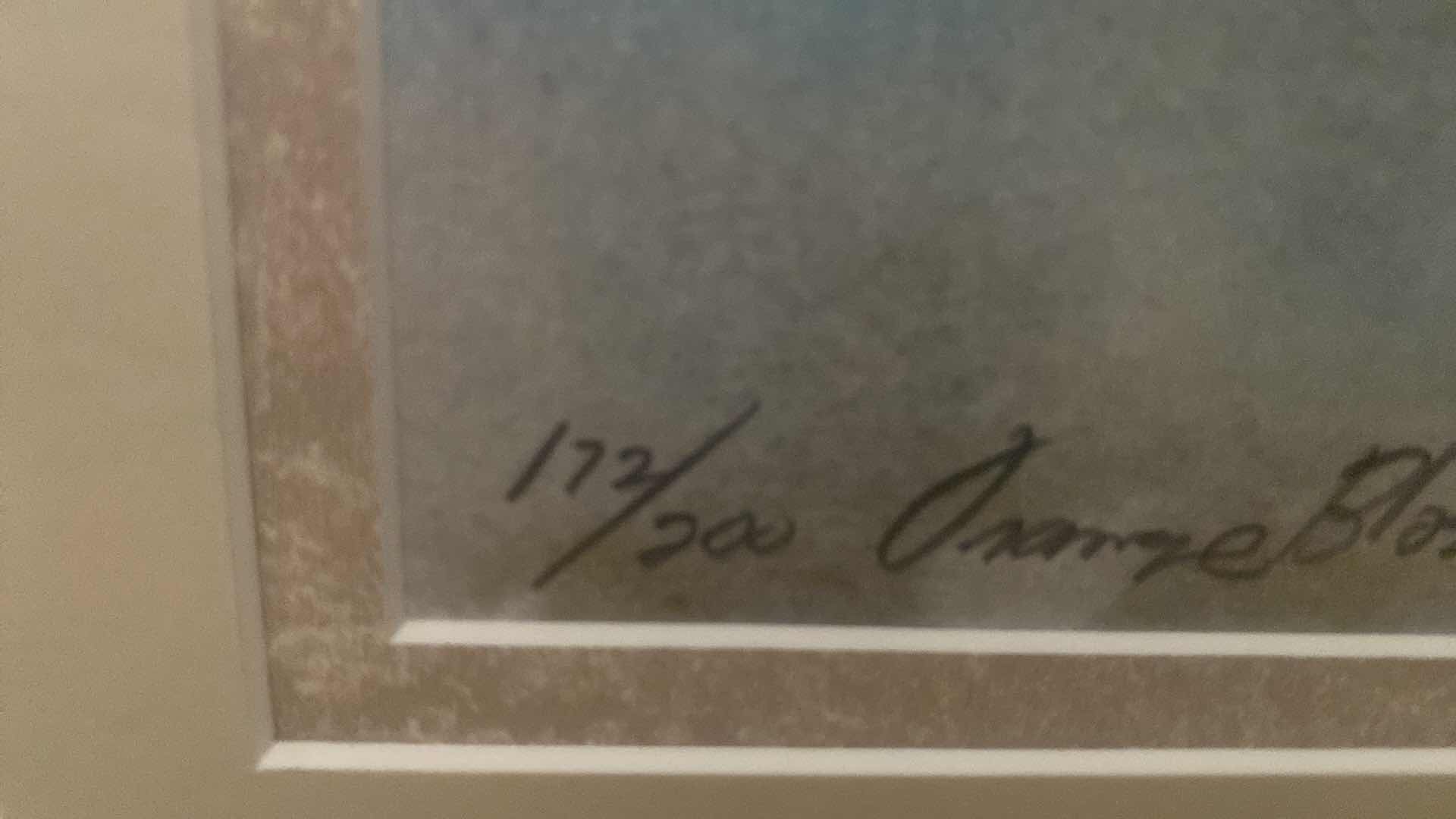 Photo 1 of FRAMED FLORAL PRINT SIGNED NUMBERED ARTWORK 18 1/2” x 22 1/2”