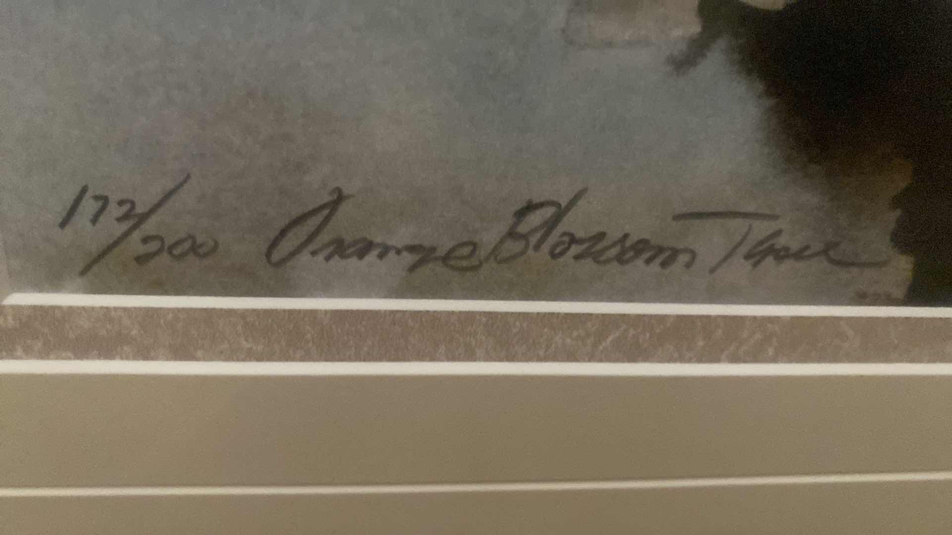 Photo 1 of FRAMED FLORAL PRINT SIGNED NUMBERED ARTWORK 18 1/2” x 22 1/2”