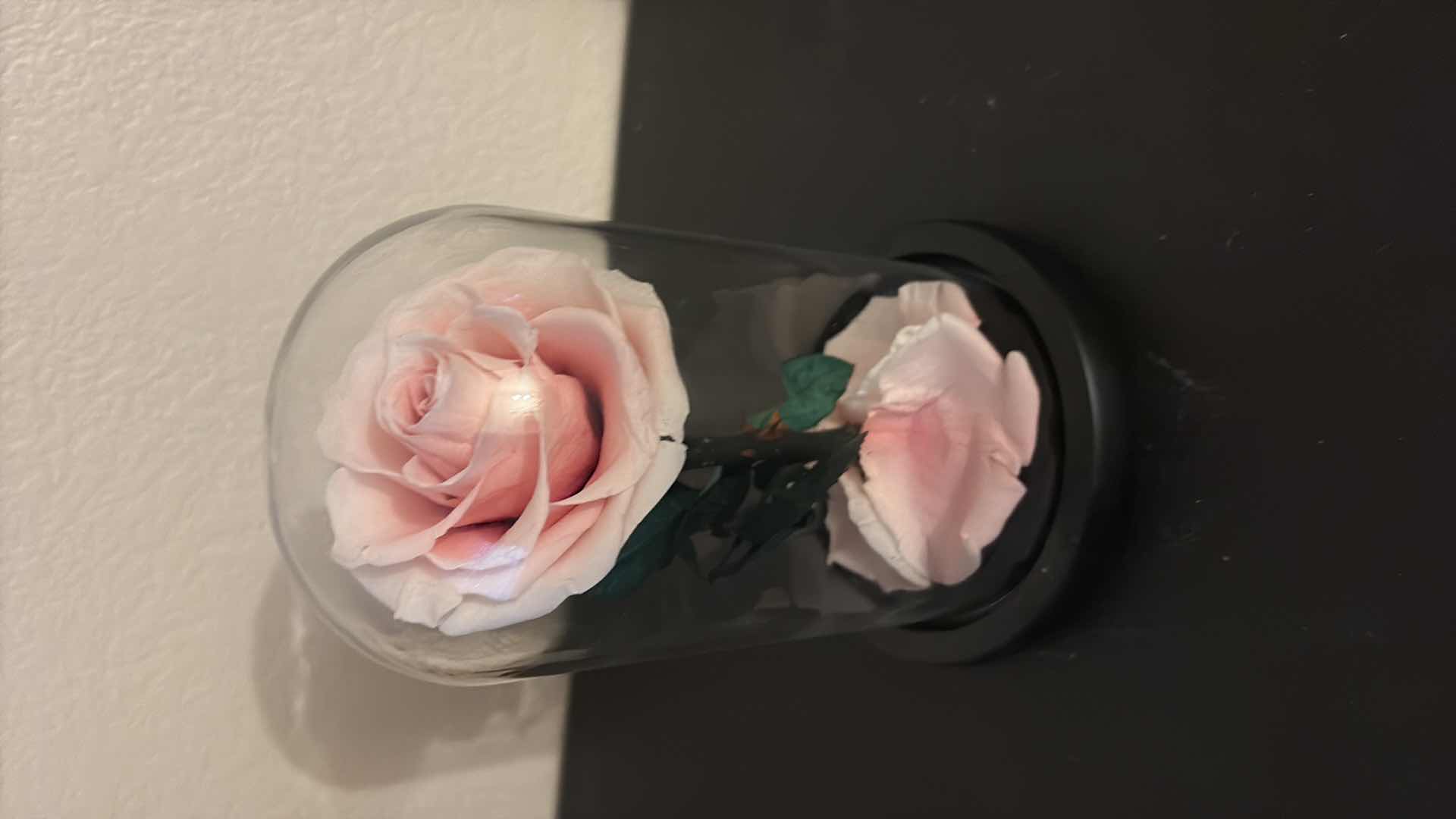 Photo 1 of ETERNAL PINK ROSE IN CLOCHE 8”