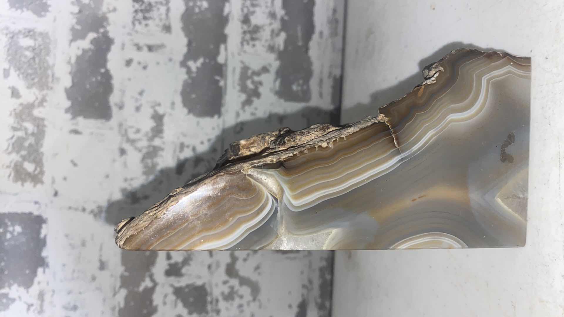 Photo 1 of GEODE 4 1/4” x 7”