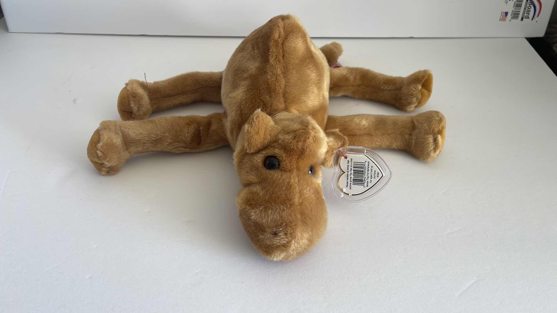 Photo 1 of TY BEANIE BUDDIES BEARS NWT