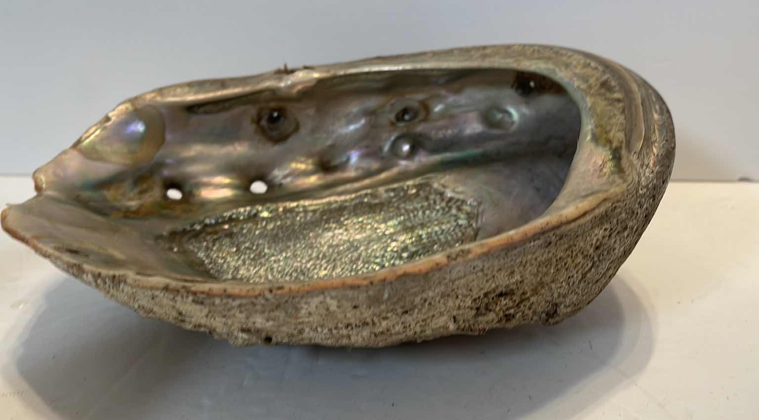 Photo 1 of LARGE ABALONE SHELL & 2- PORCELAIN COLLECTIBLE FIGURINES