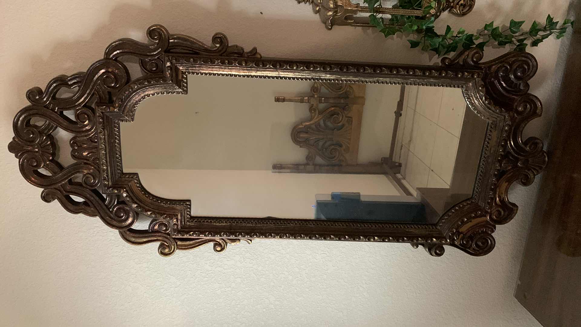 Photo 1 of VINTAGE MIRROR 22” X 52”