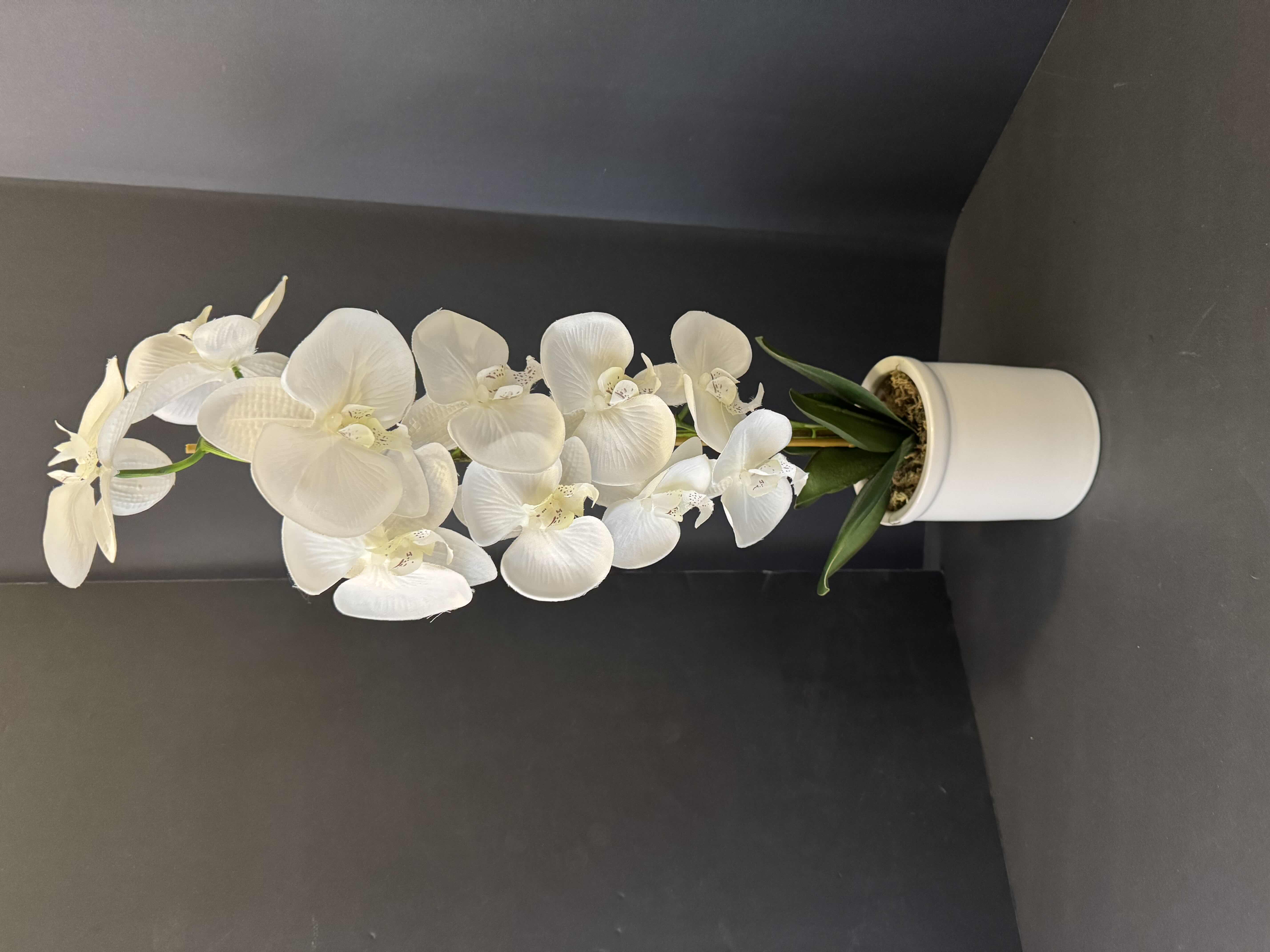 Photo 3 of 3 DECORATIVE HOME ESSENTIALS