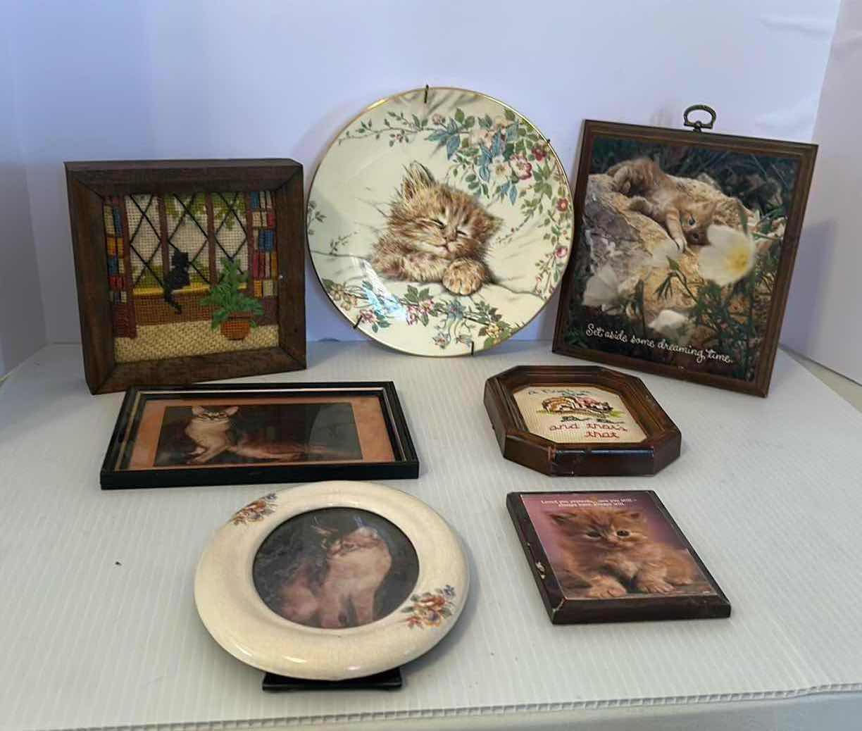 Photo 1 of 7- ASSORTED CAT PICS