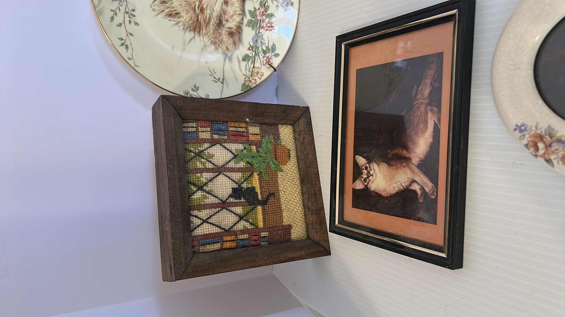 Photo 2 of 7- ASSORTED CAT PICS