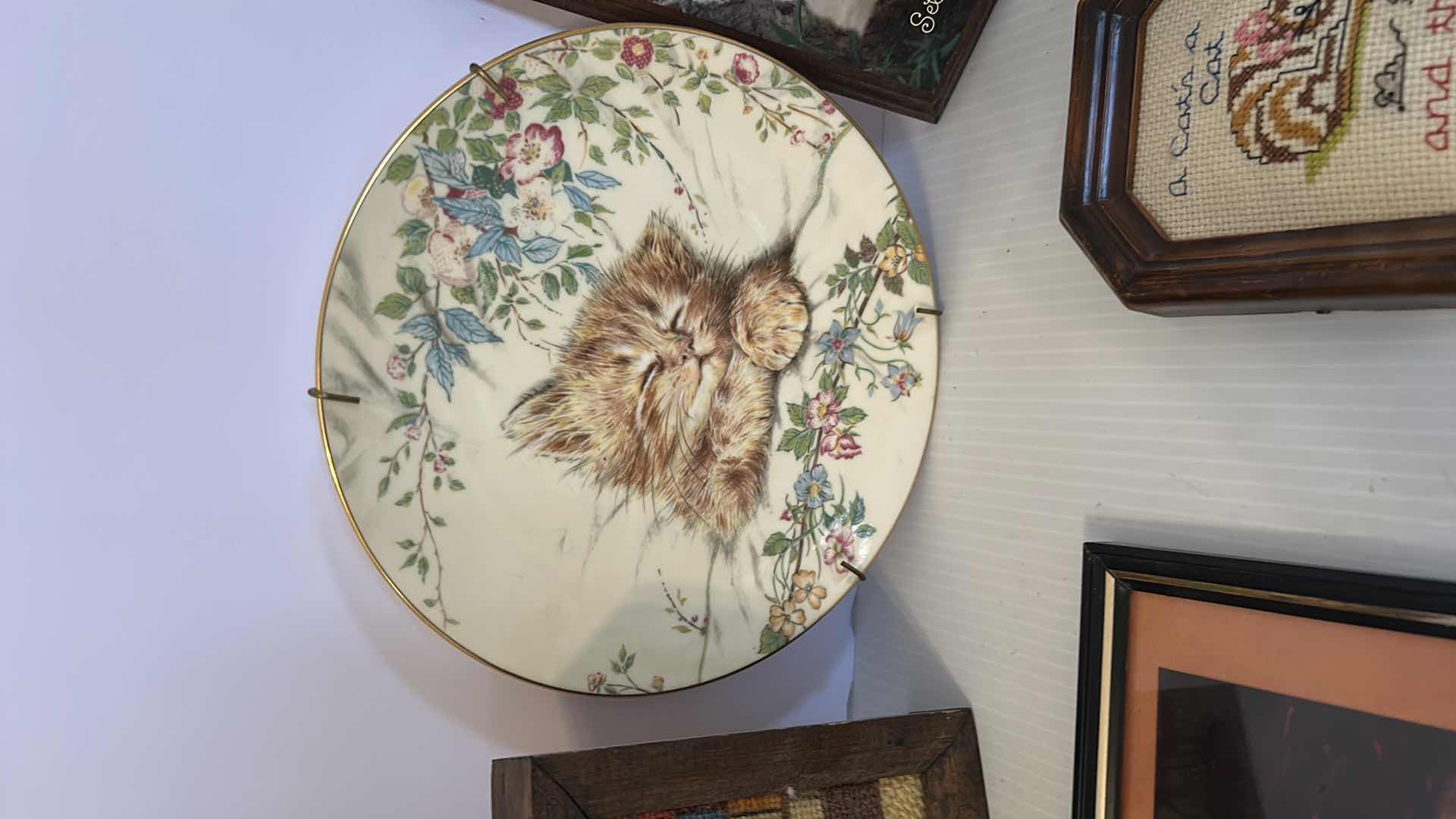 Photo 4 of 7- ASSORTED CAT PICS