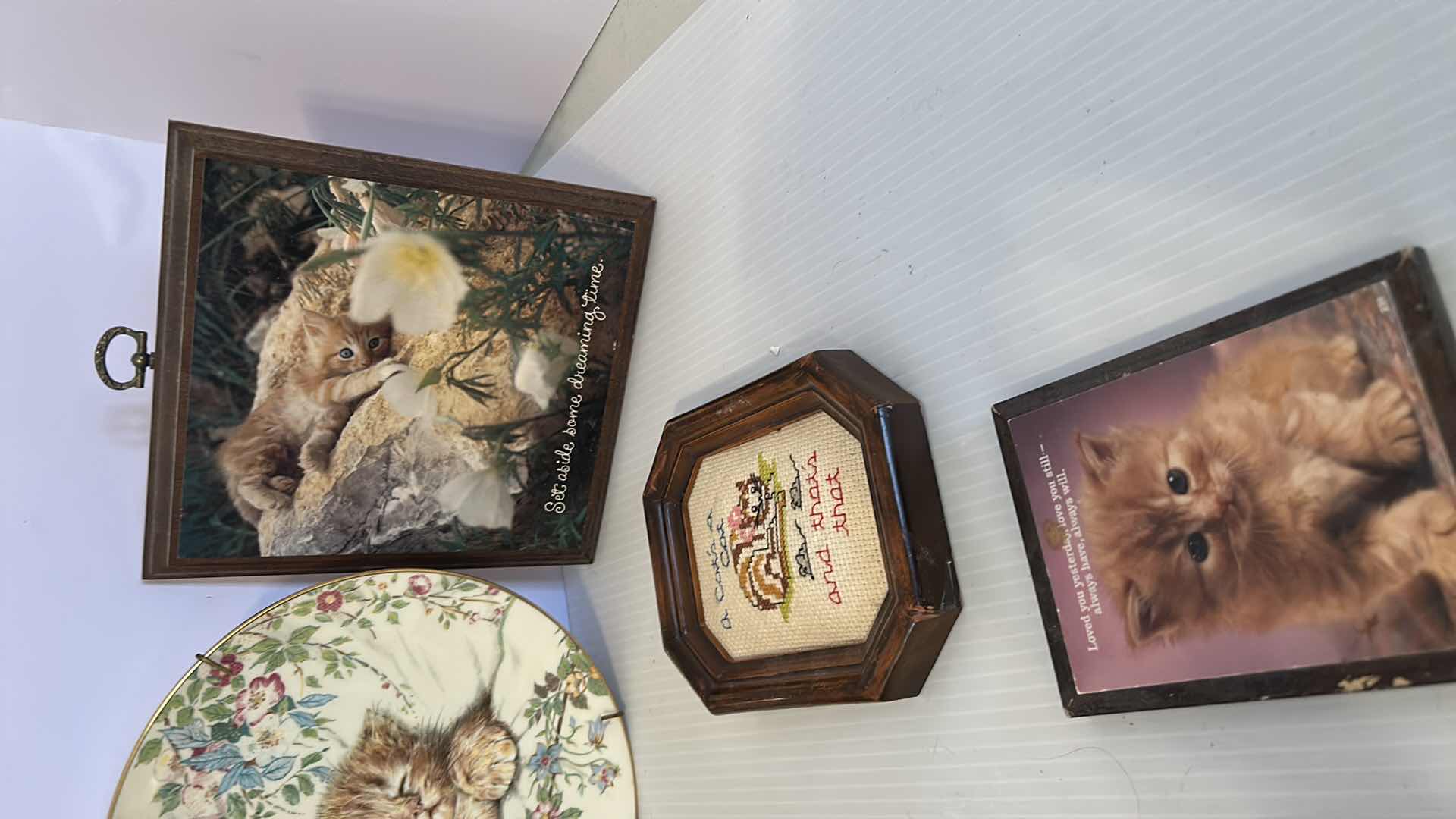 Photo 1 of 7- ASSORTED CAT PICS