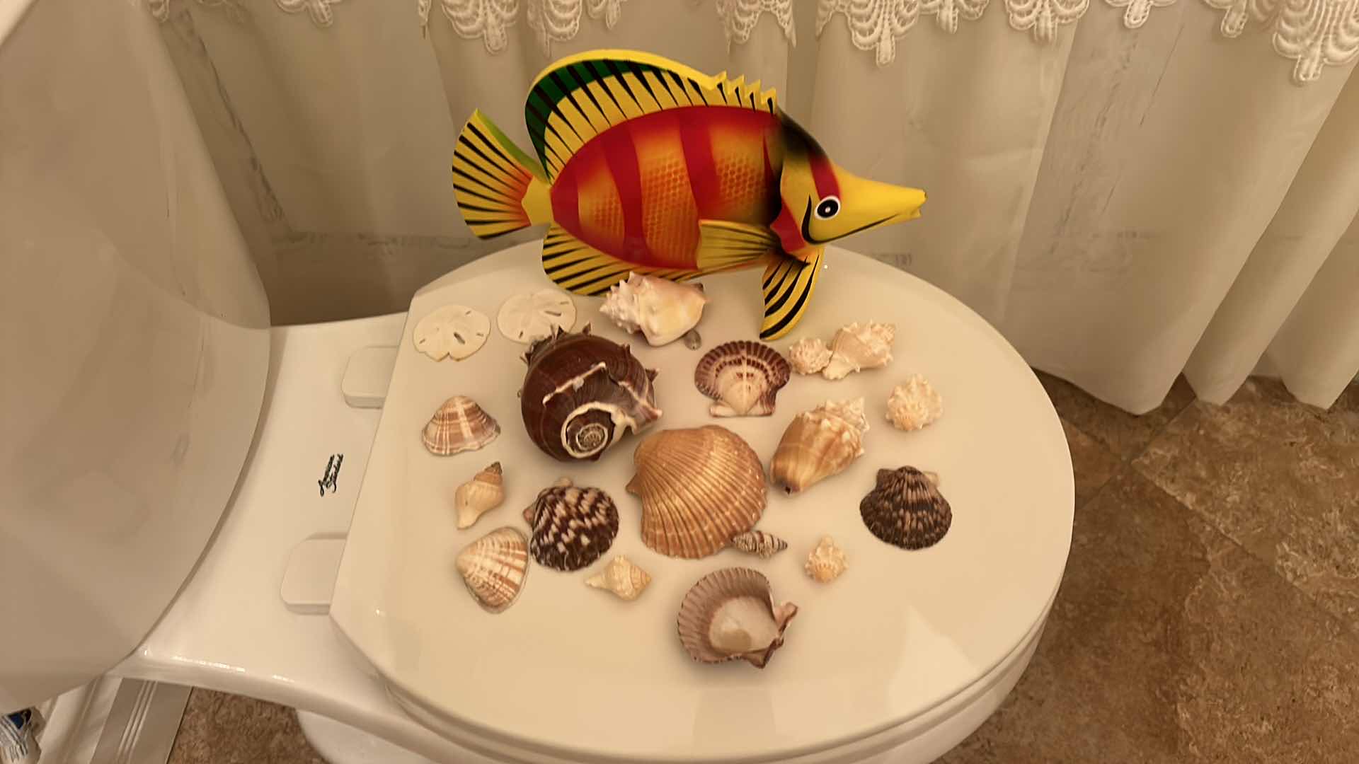 Photo 1 of 2 SHEER PANELS, SHELL COLLECTION & PITCHER WITH BOWL