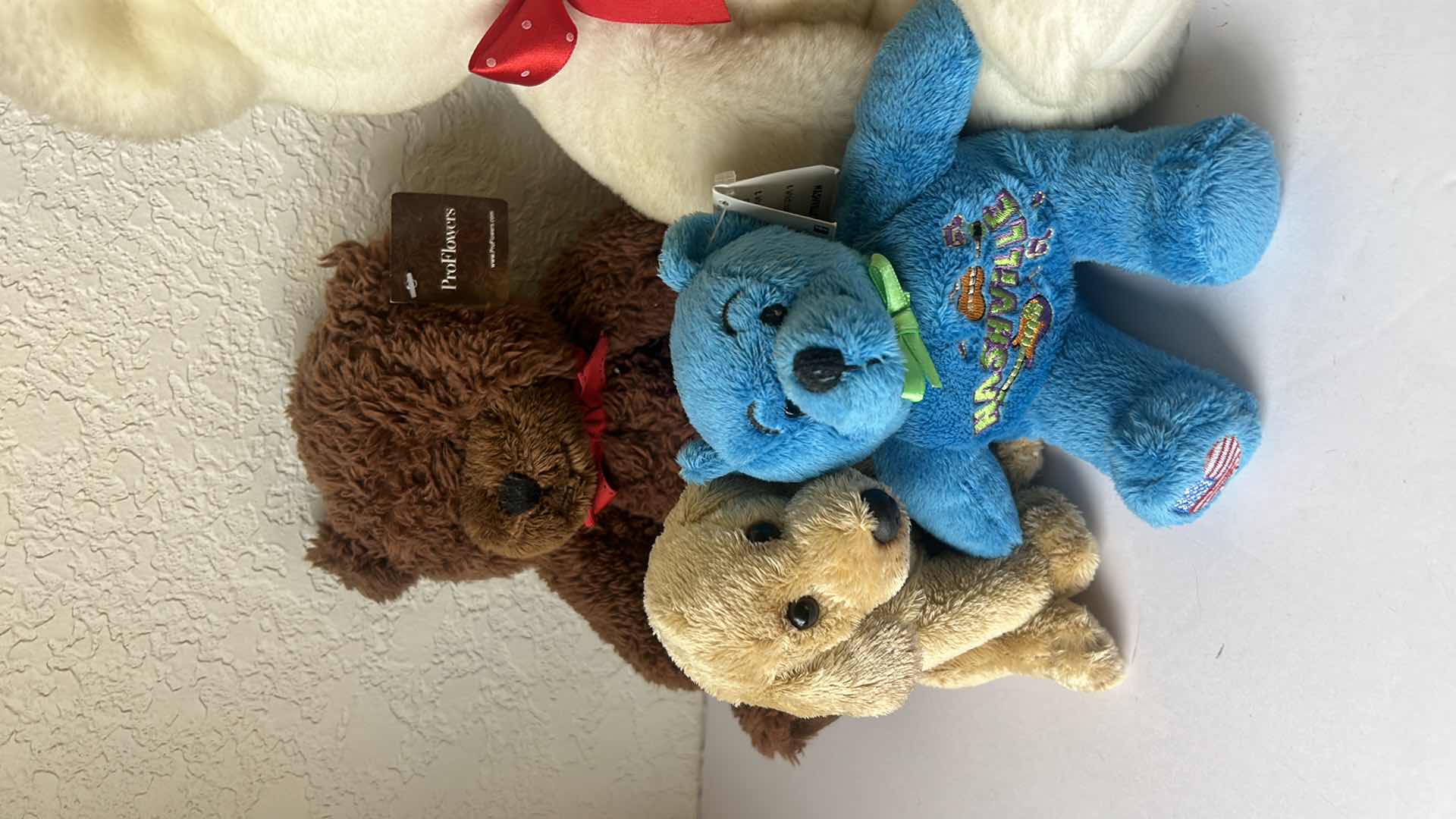Photo 1 of STUFFED ANIMAL ASSORTMENT