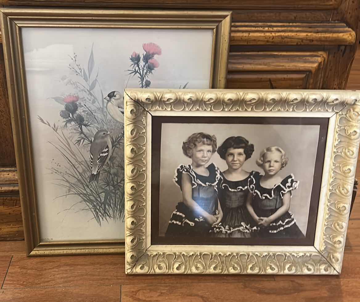 Photo 1 of VINTAGE ARTWORK (BIRD 12.5” x 15.5”)