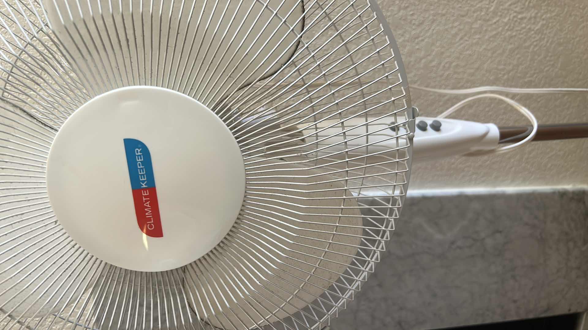 Photo 1 of 3 FANS