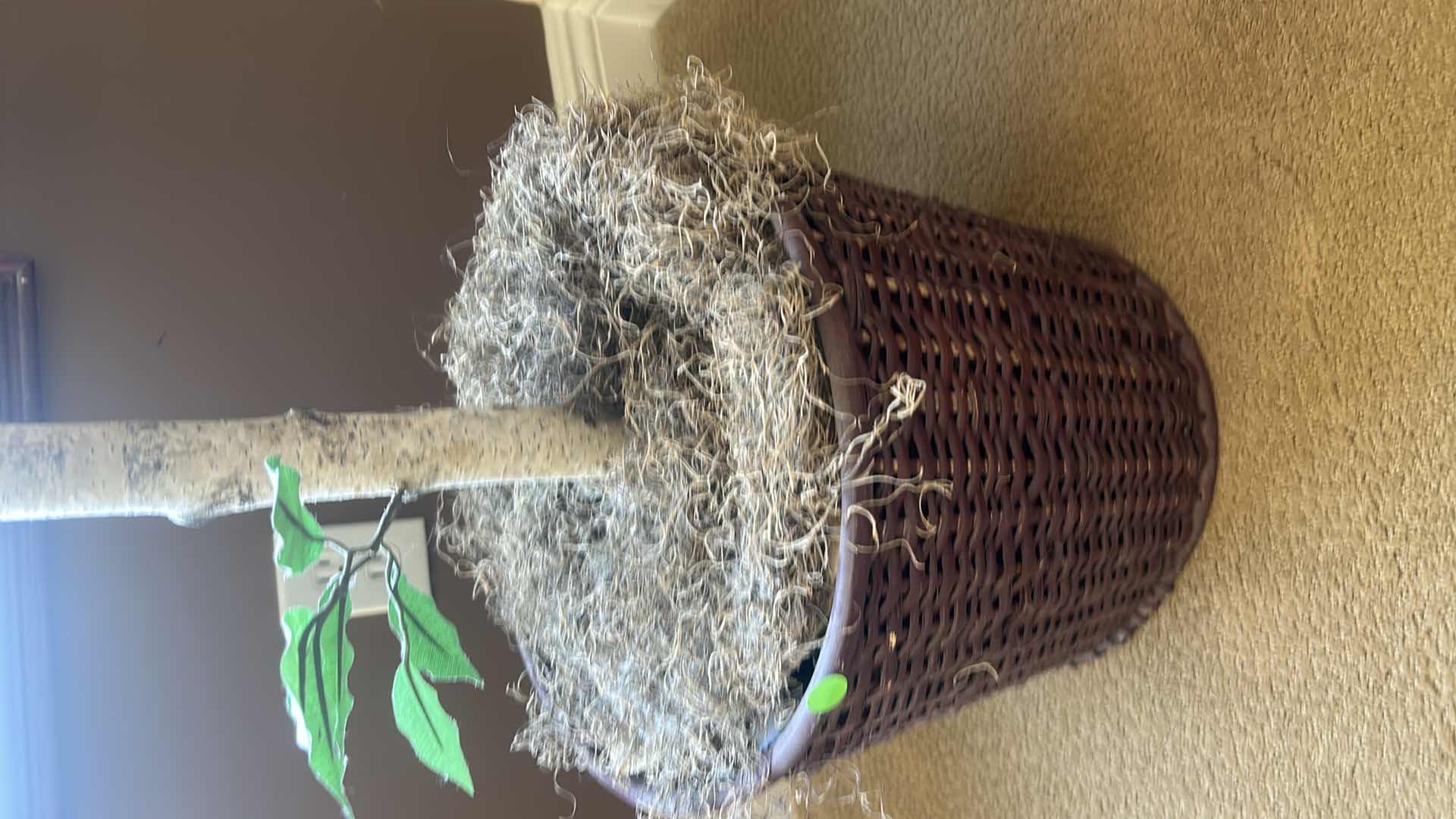 Photo 1 of 9’ FAUX TREE